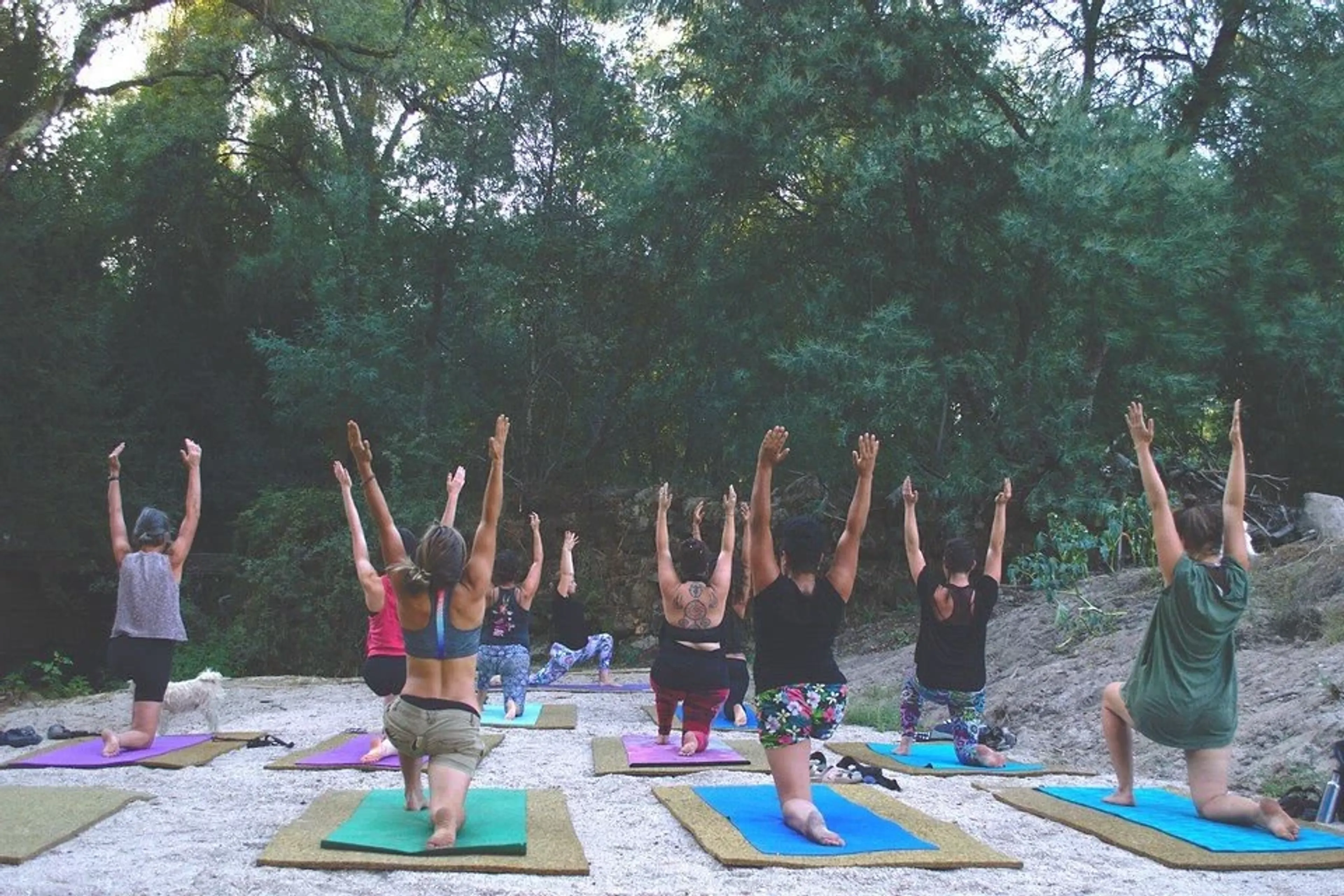 Back to You - Yoga, Kunst und Nature Retreat in Cara Creek Eco Lodge