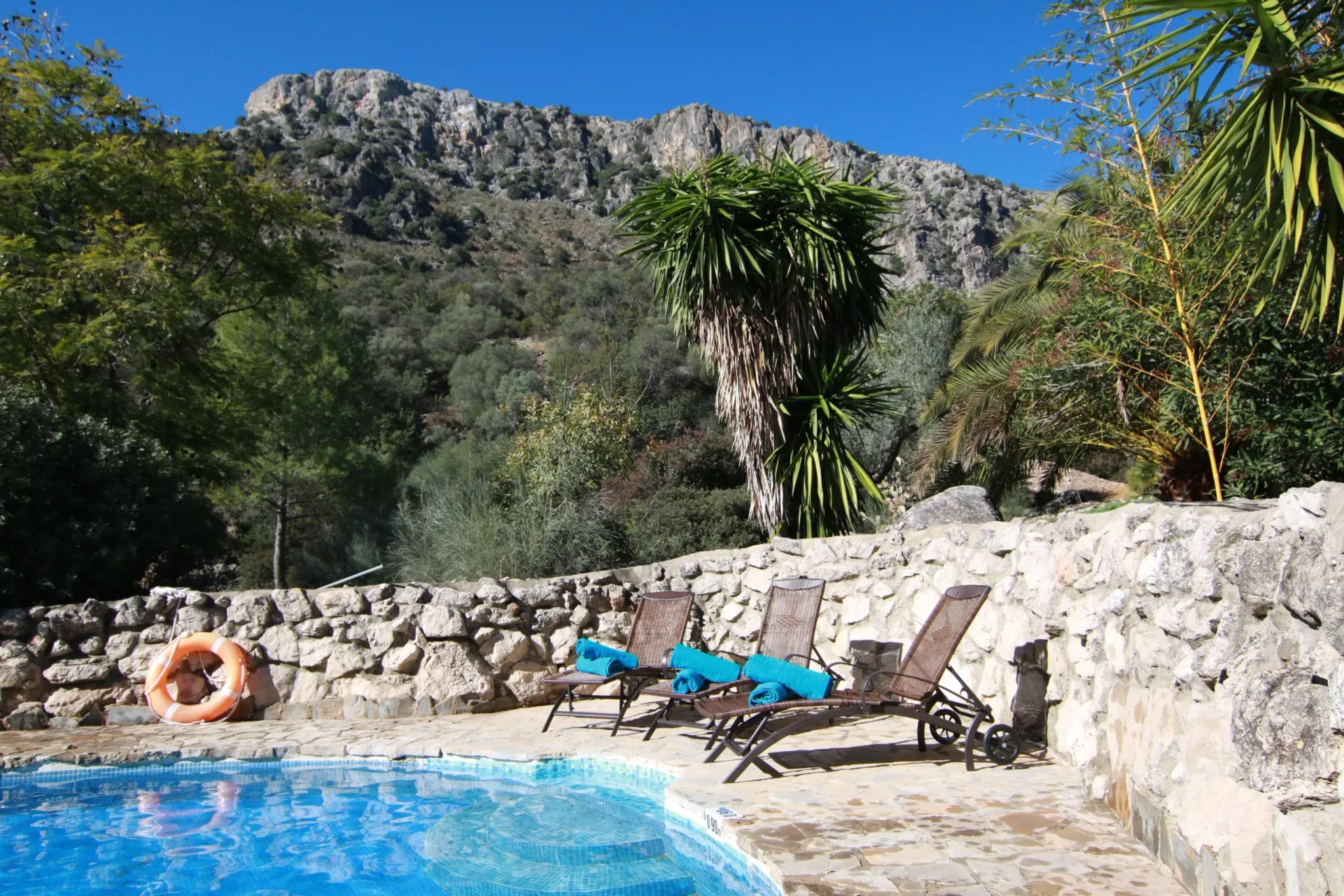 Pfade der Stille: Yoga und Naturerlebnis in Andalusien - 3