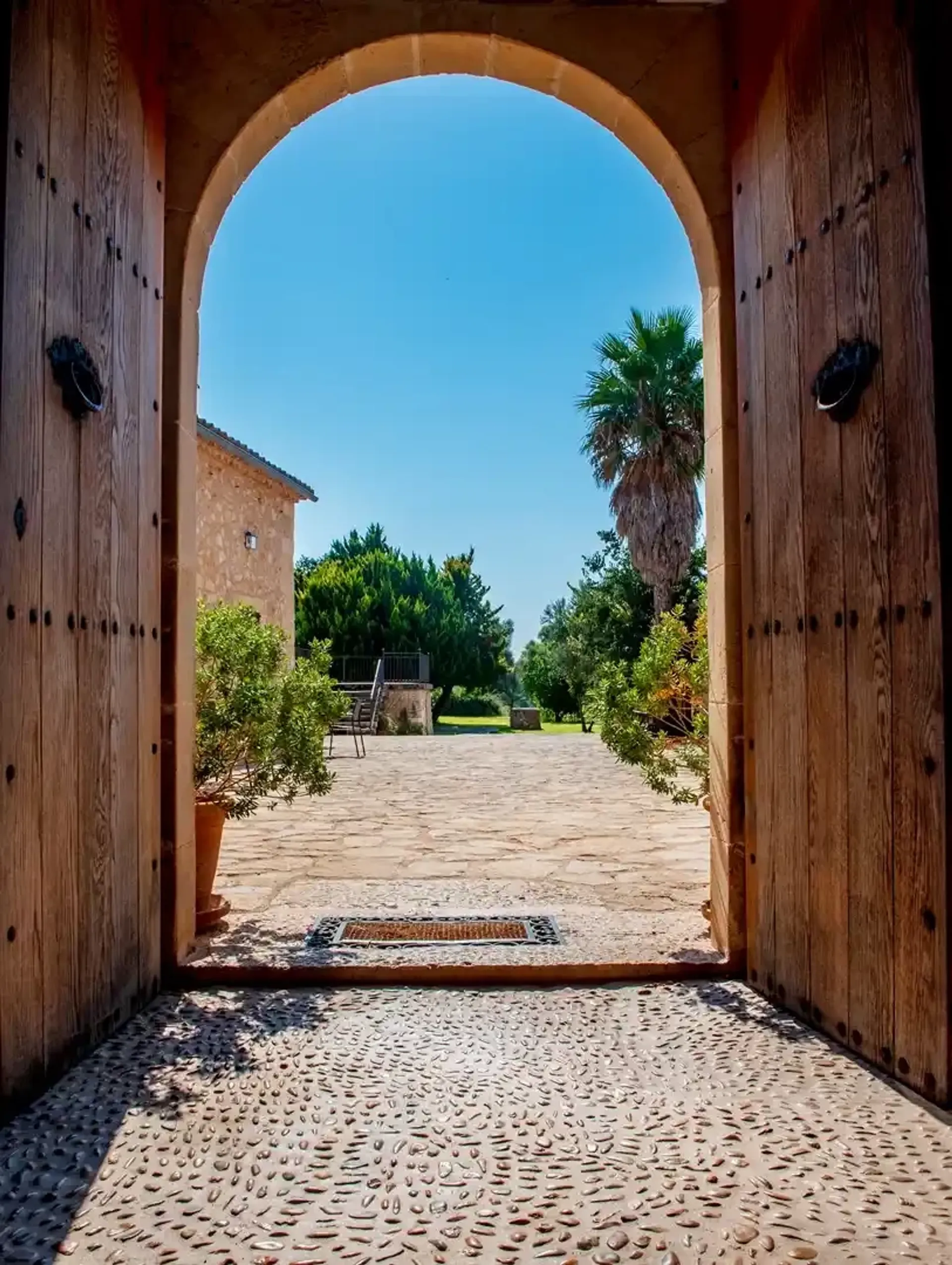 Ayurveda-Detox-Retreat zur Entgiftung und Gewichtsabnahme - 2