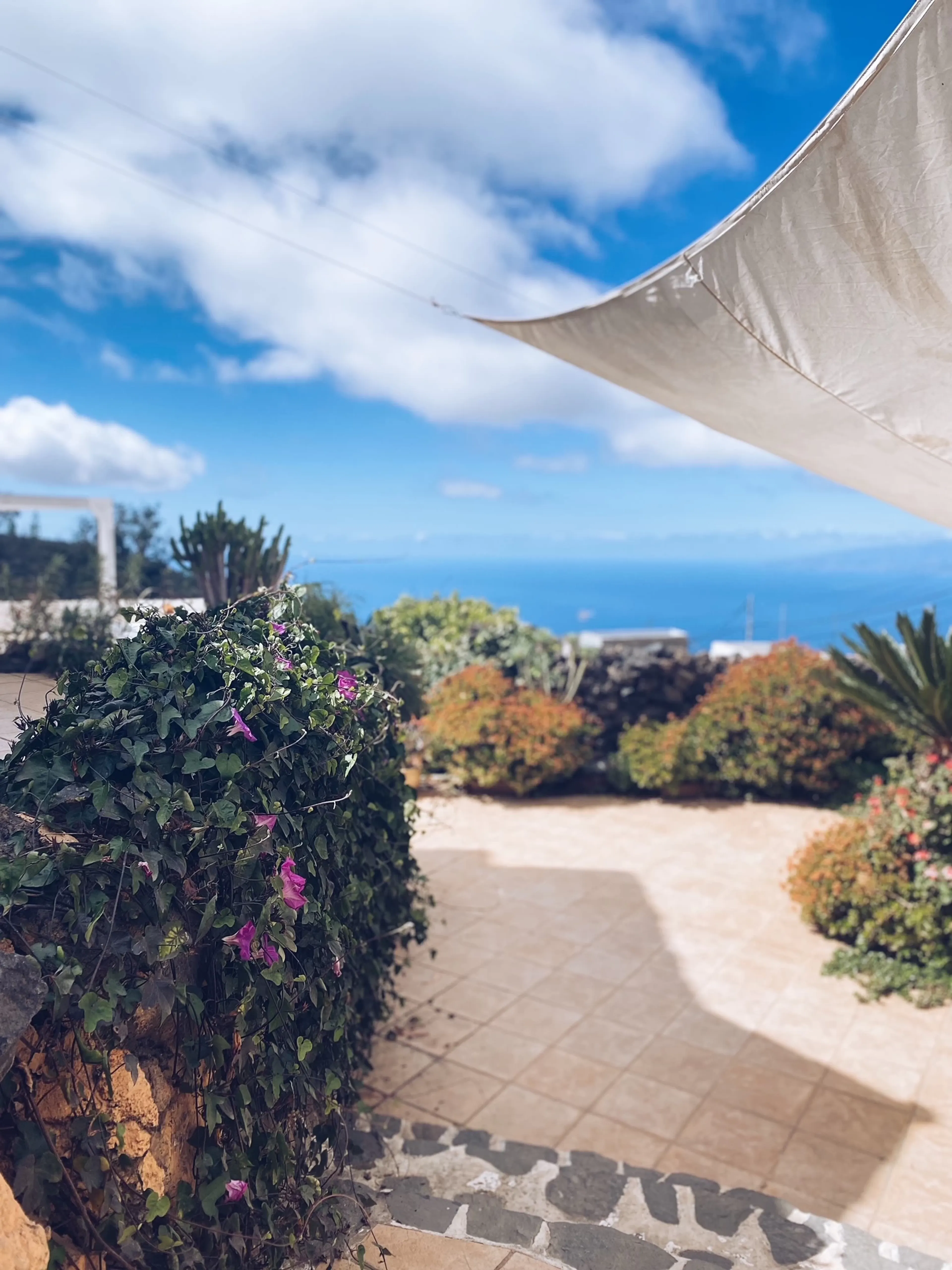 Mindful Food & Yoga Retreat für Frauen im Süden von Teneriffa - 2