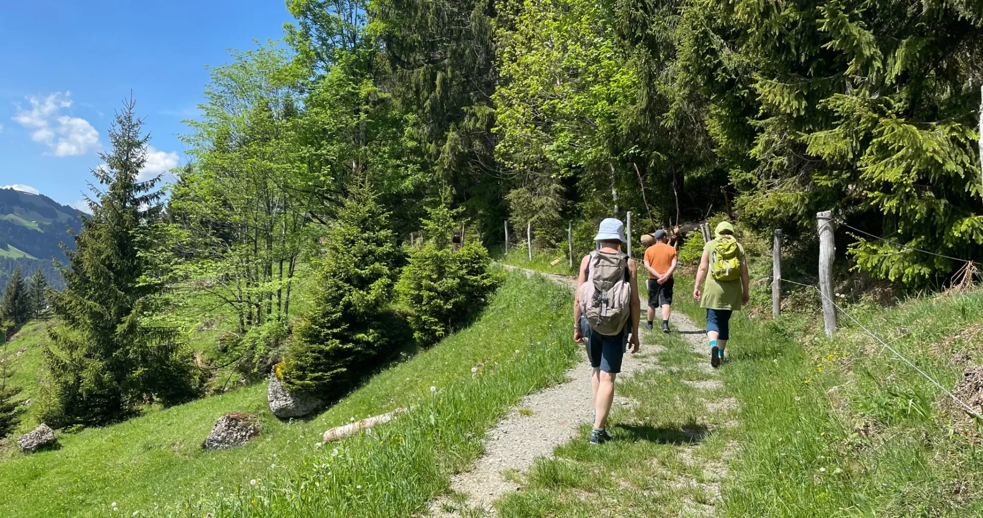 Auszeit in Bergstille - Meditation und Achtsamkeit auf einer Alpe - 5