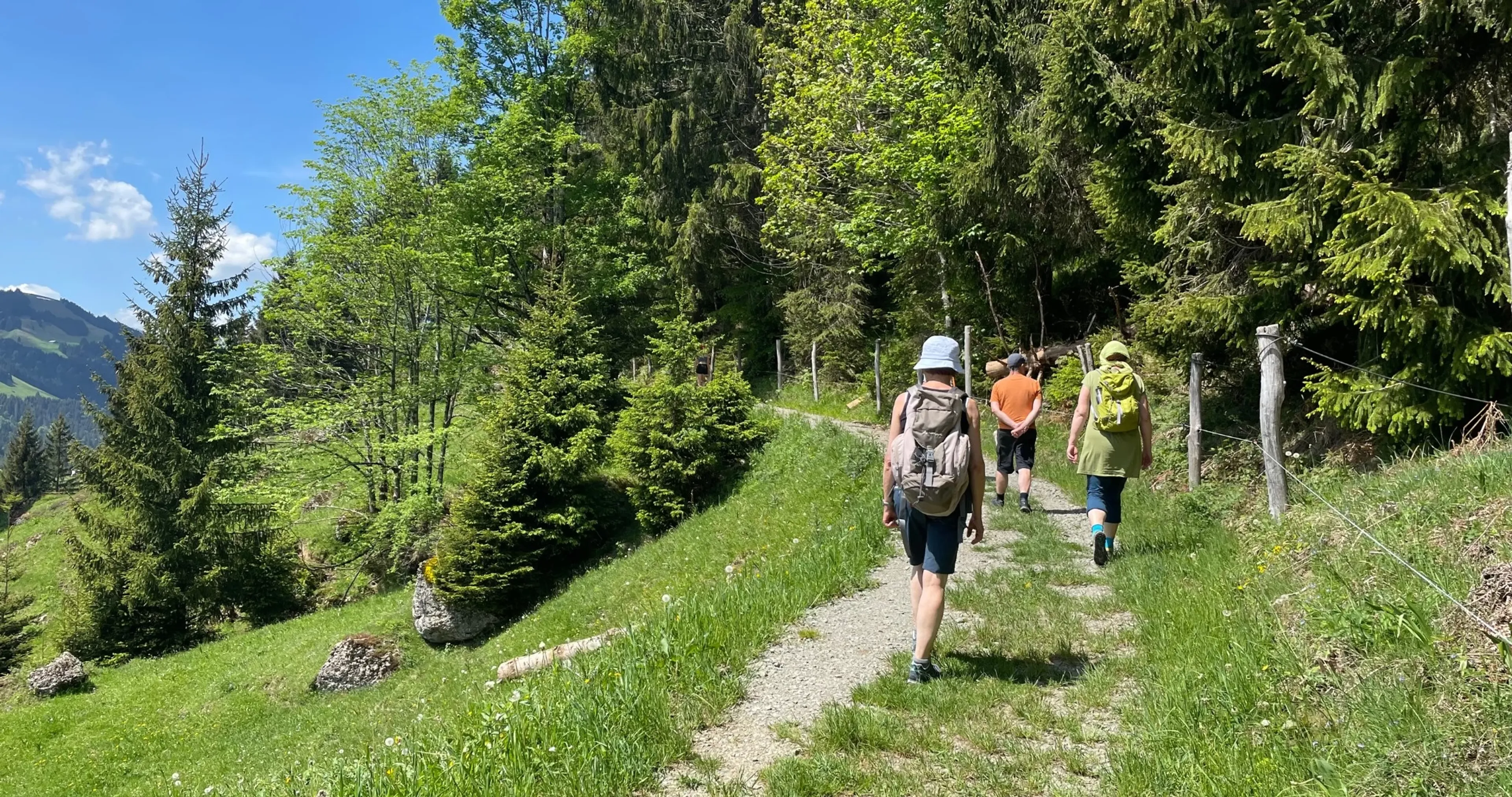 Auszeit in Bergstille - Meditation und Achtsamkeit auf einer Alpe - 5
