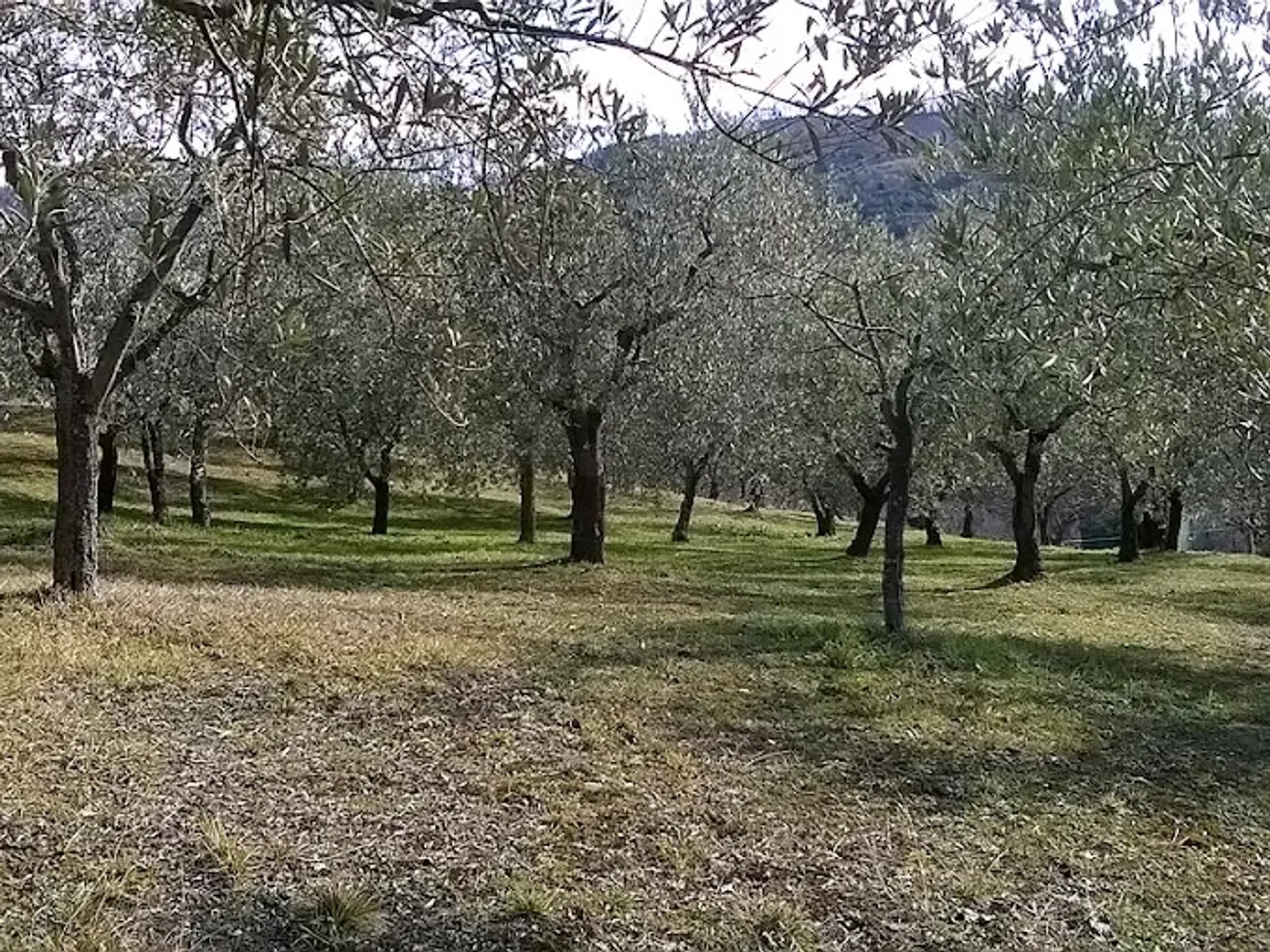 Individuelles Stille Retreat im italienischen Assisi - 5