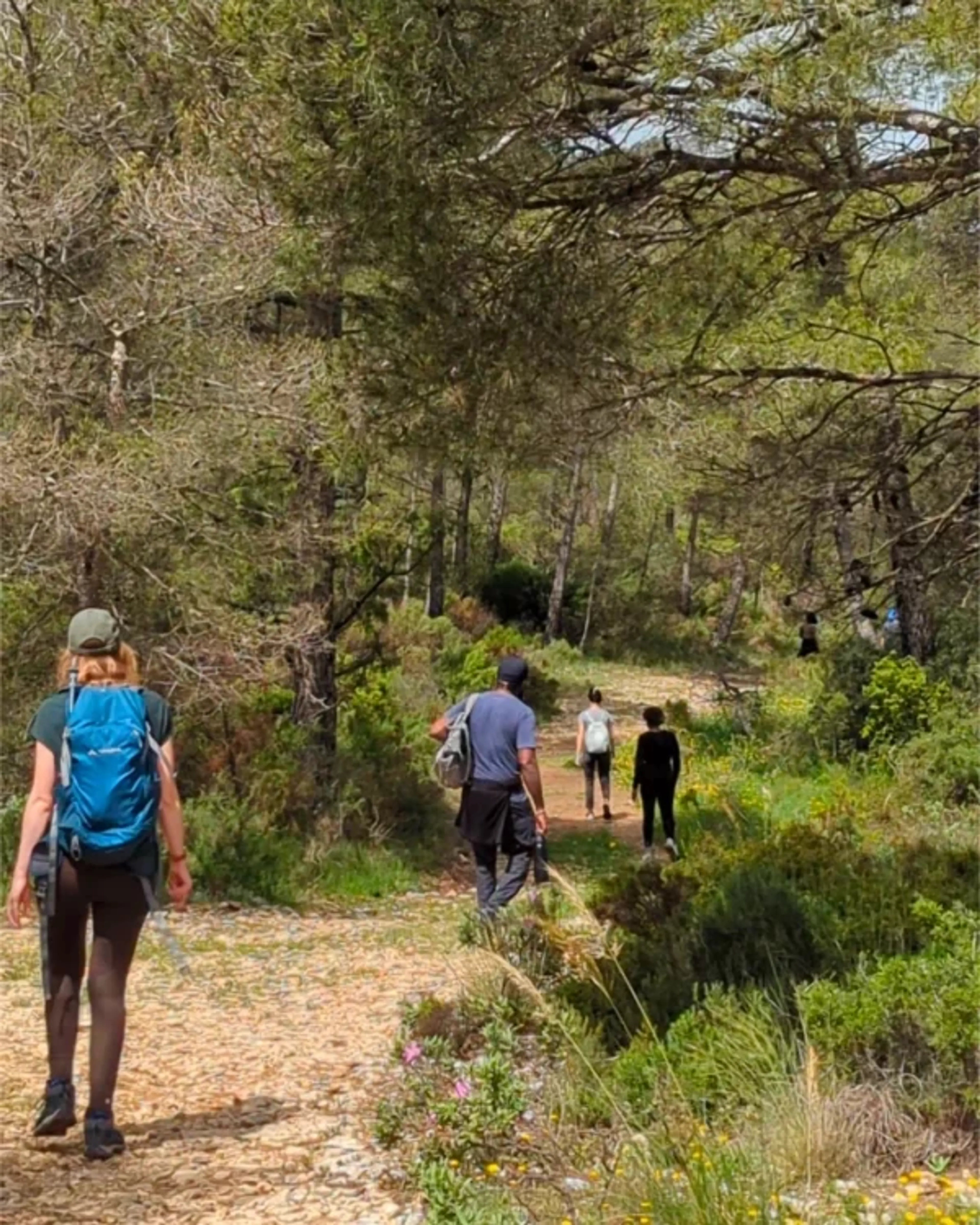 Entdecke inneren Frieden: Transformatives Stille-Meditations-Retreat - 5