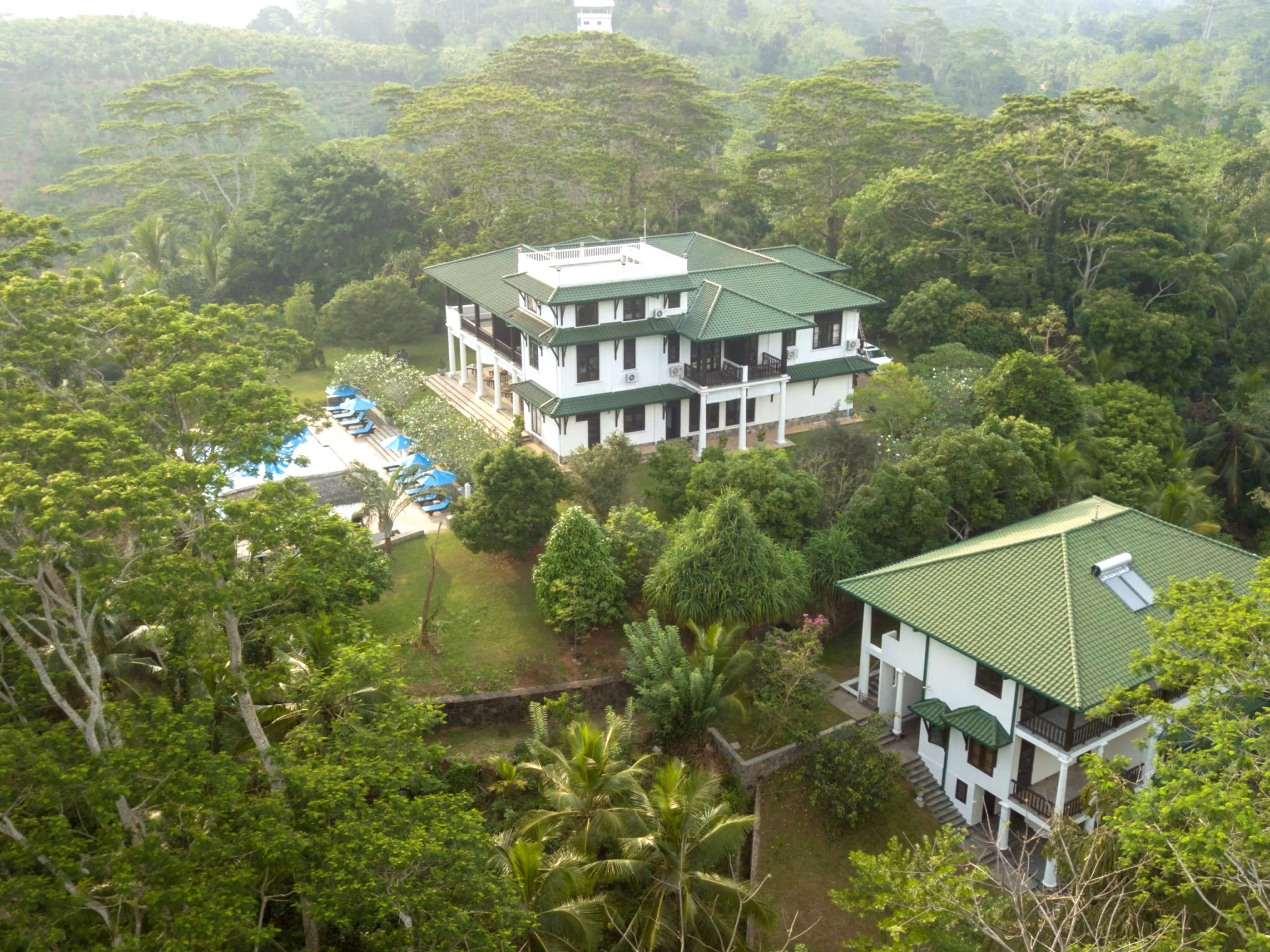 Dein Hatha Yoga Bliss Retreat inmitten einer Teeplantage