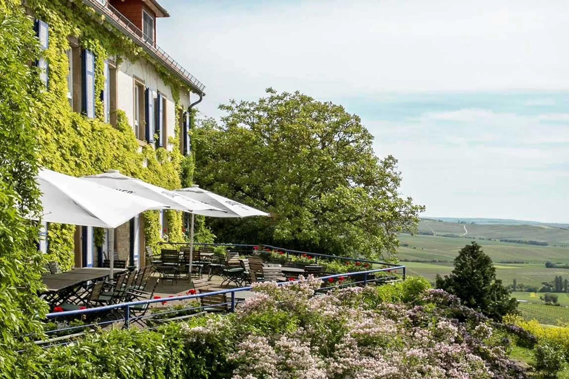 Yoga-Wochenende im Weinberghotel: Deine wohlverdiente Auszeit