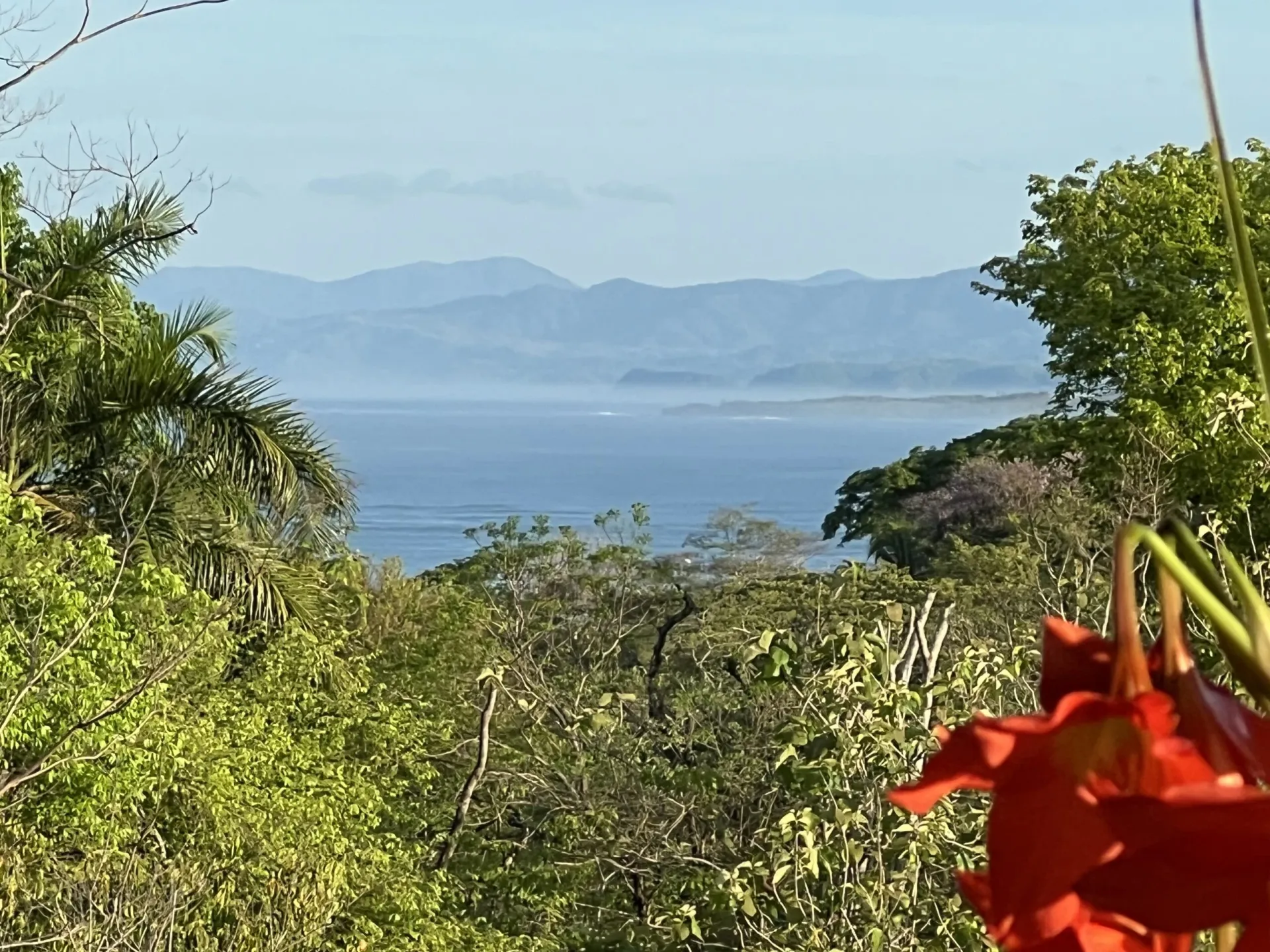 Abwechslungsreiches Ocean-Yoga-Retreat im traumhaften Costa Rica - 2