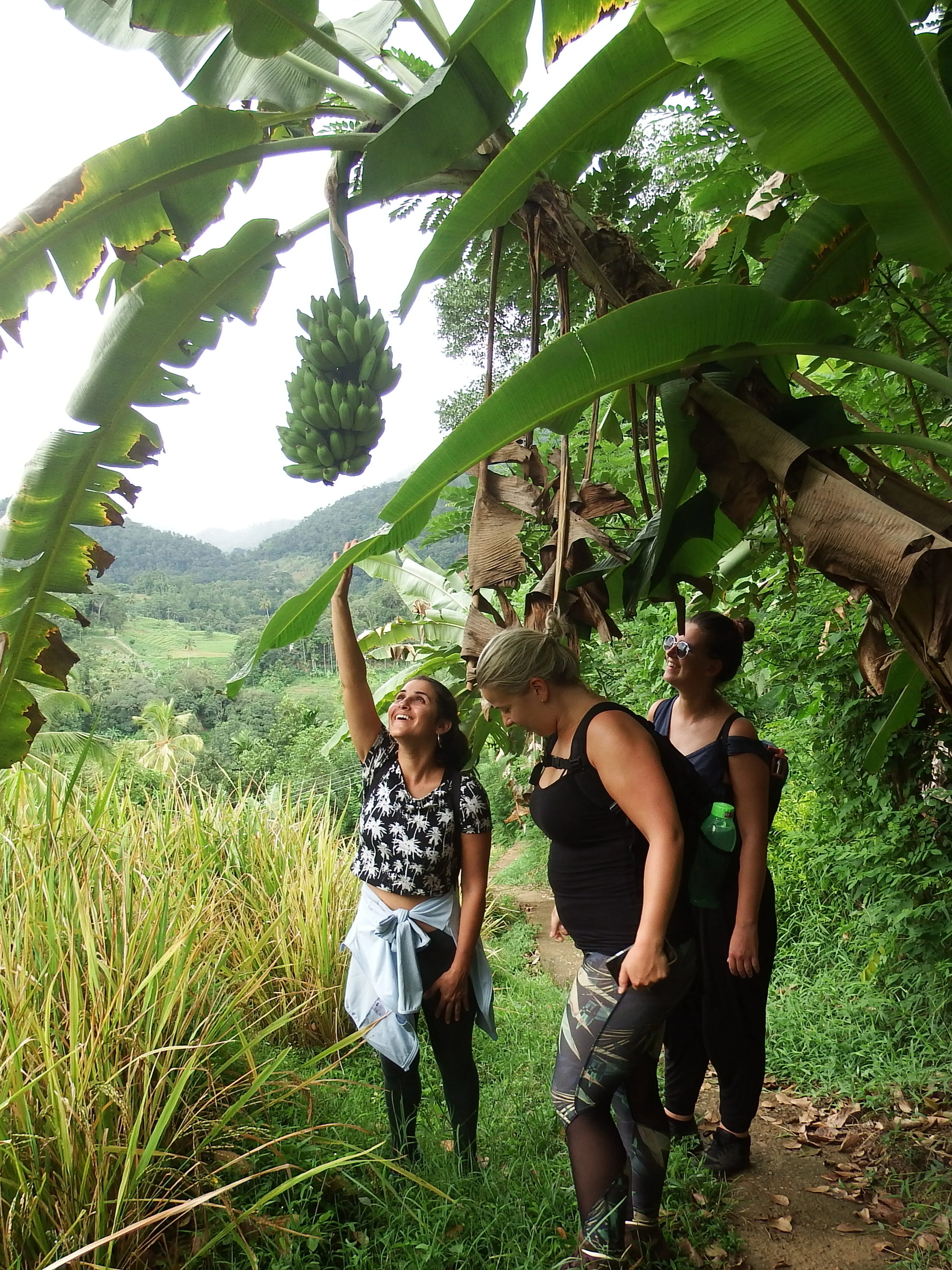 Yoga Awakening Retreat: Erlebe die Magie Sri Lankas - 5