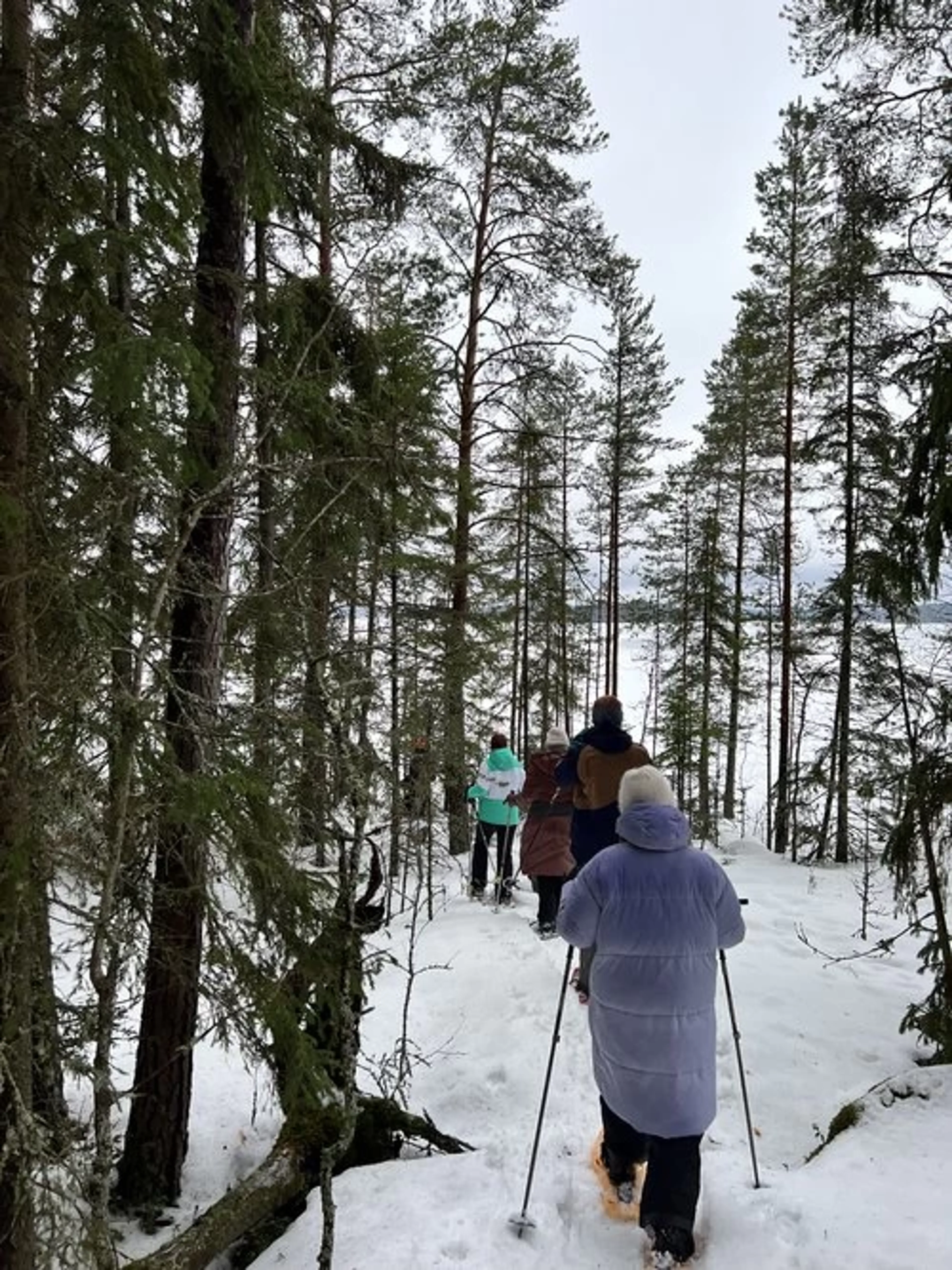 Winter Bliss - Yoga- und Kultur-Retreat in Finnland - 4