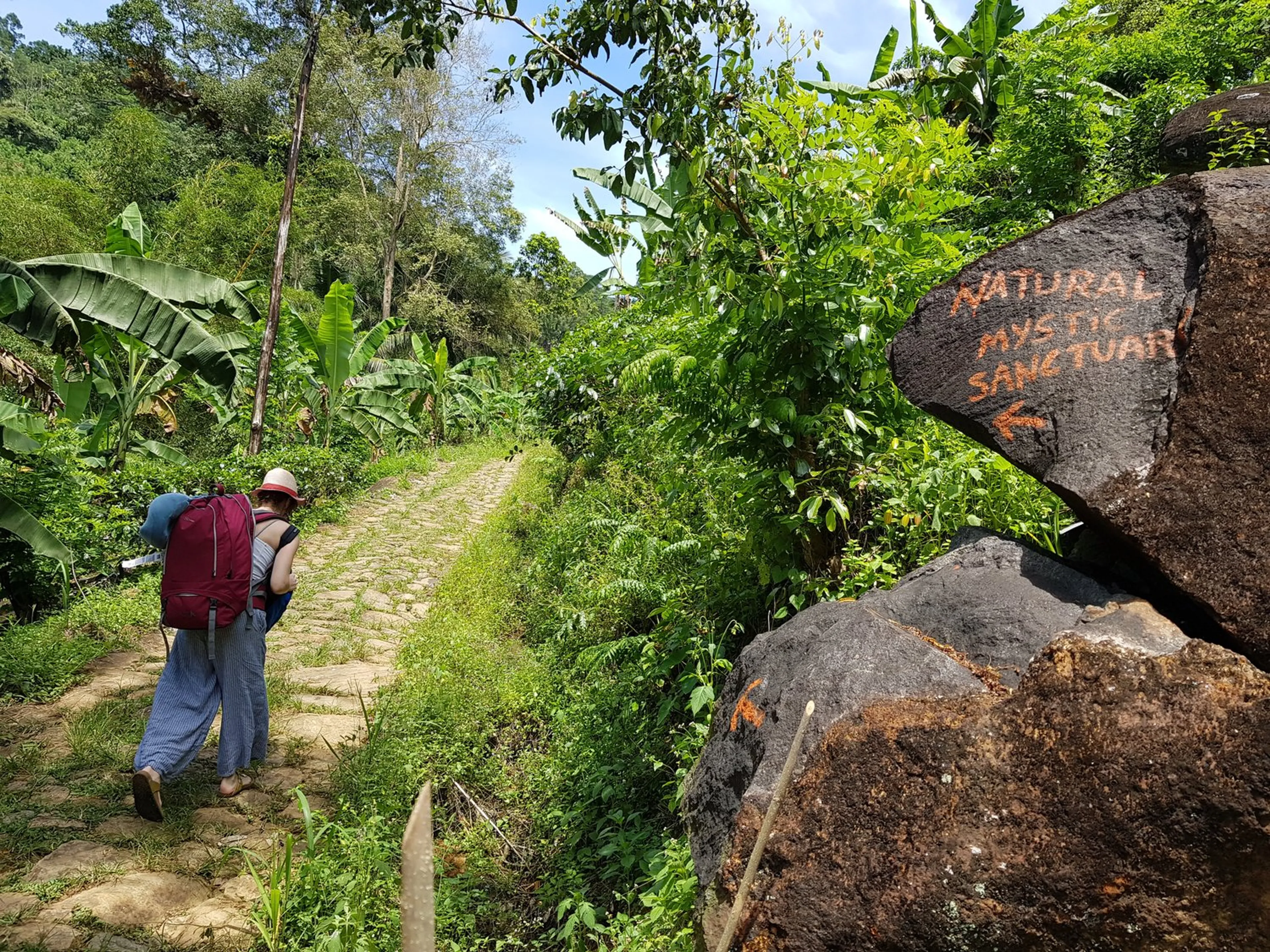 Wandern und Radfahren im letzten unberührten Regenwald Sri Lankas - 1