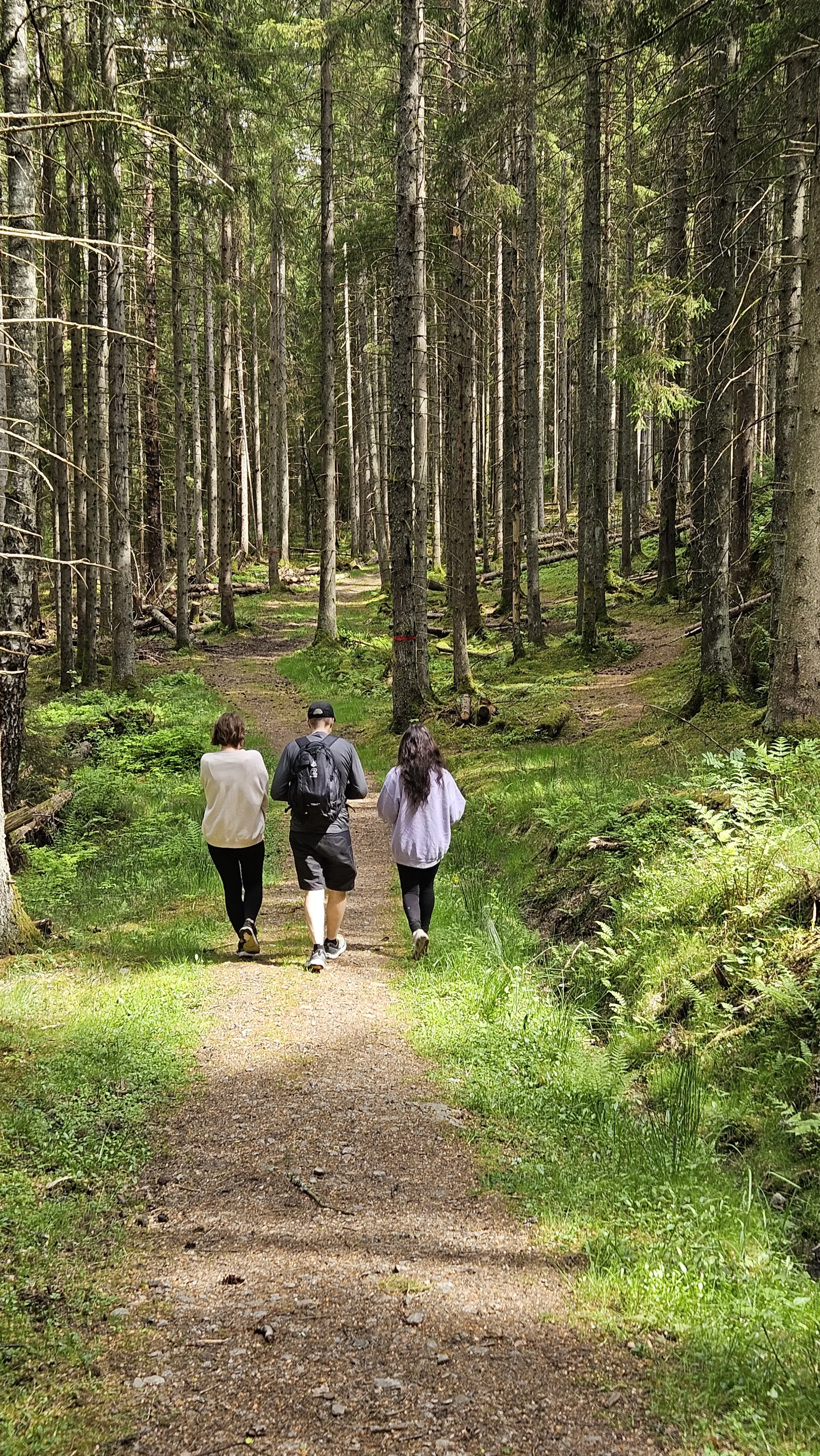 Fasten- und Detox-Retreat an der idyllischen Westküste Schwedens - 5