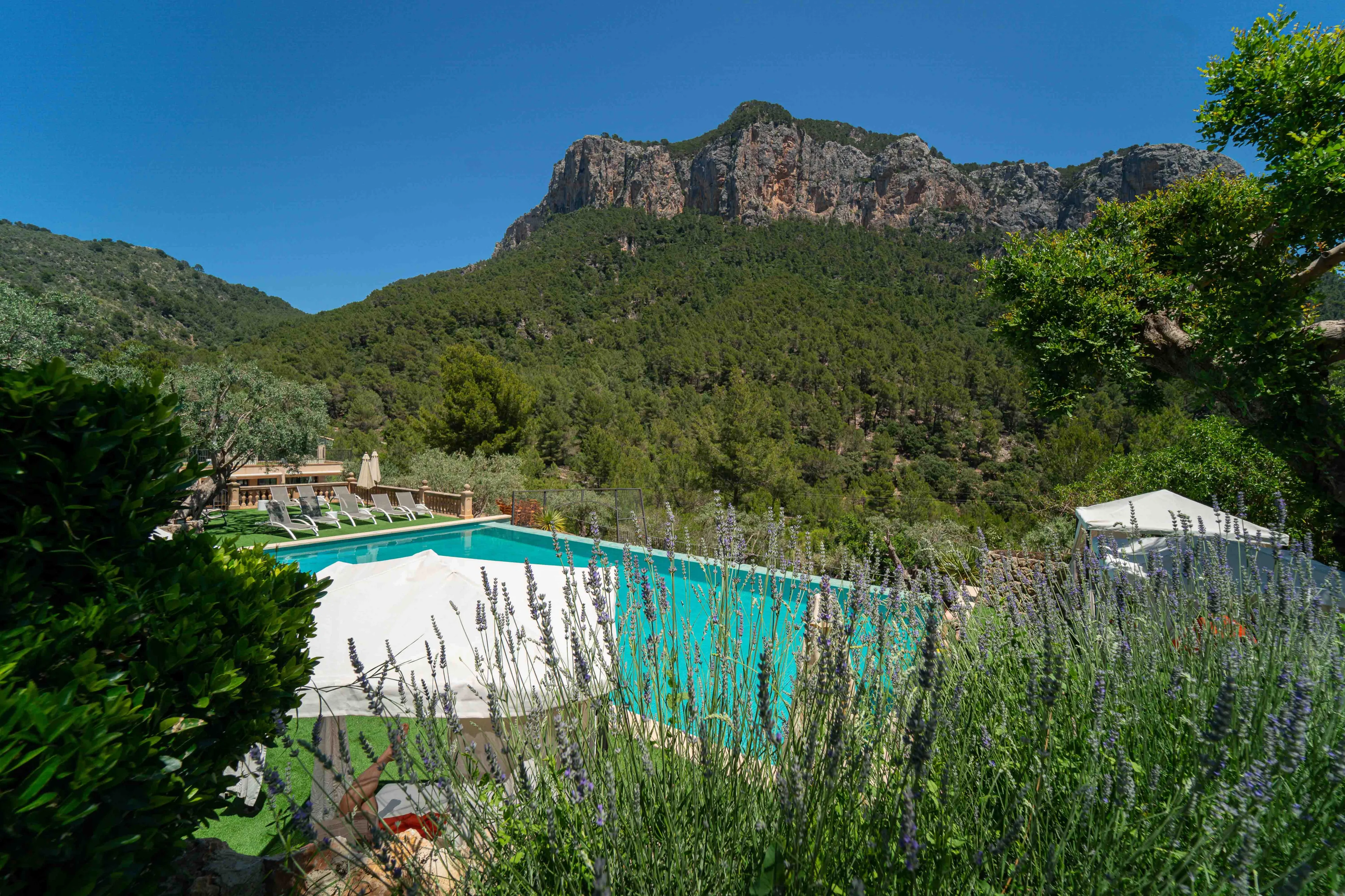 Mediterrane Genussmomente: Yoga-Retreat zwischen Weingütern - 2