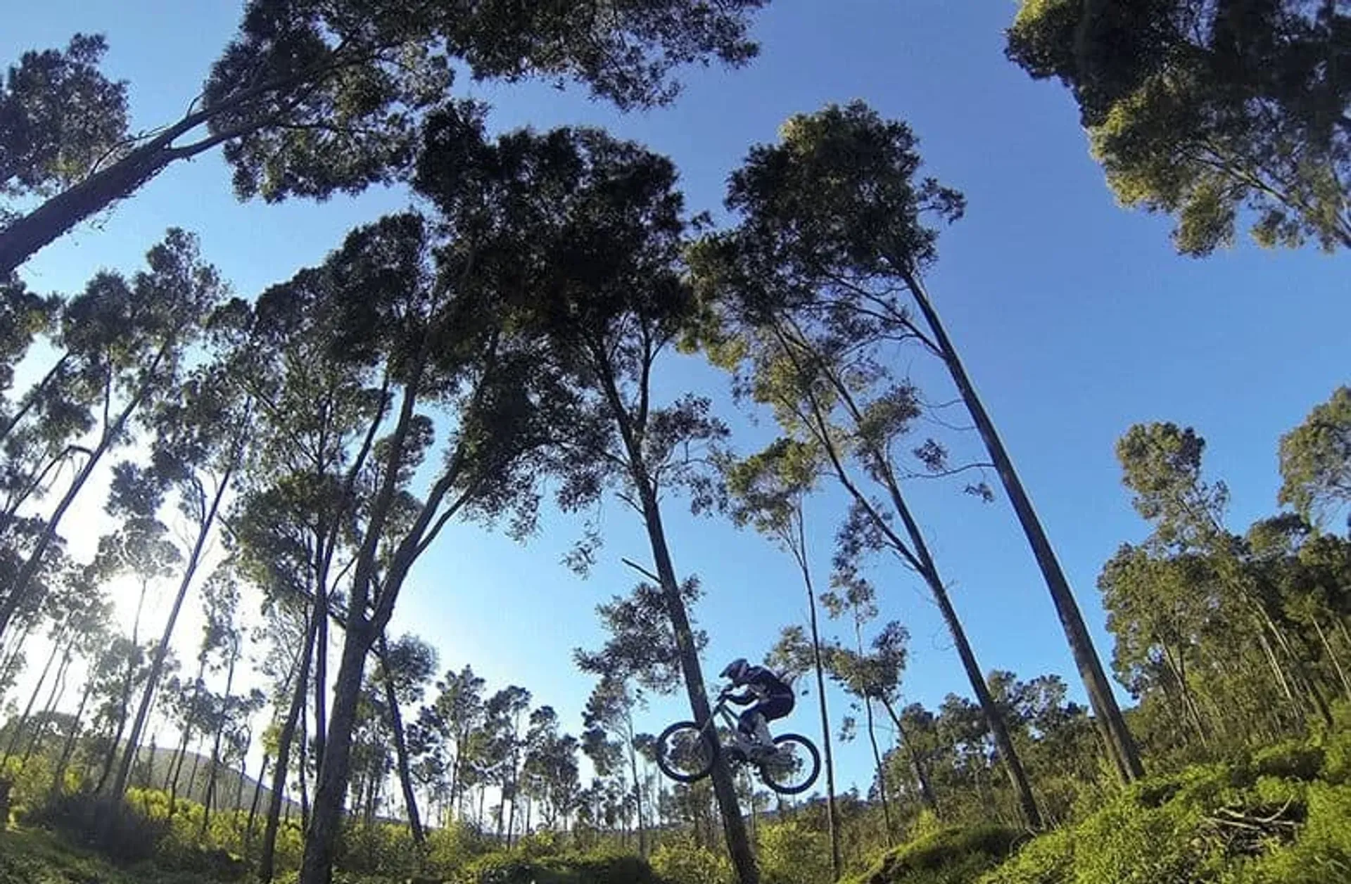 Auf Mountainbike-Trails durch die Sierra da Sintra - 3