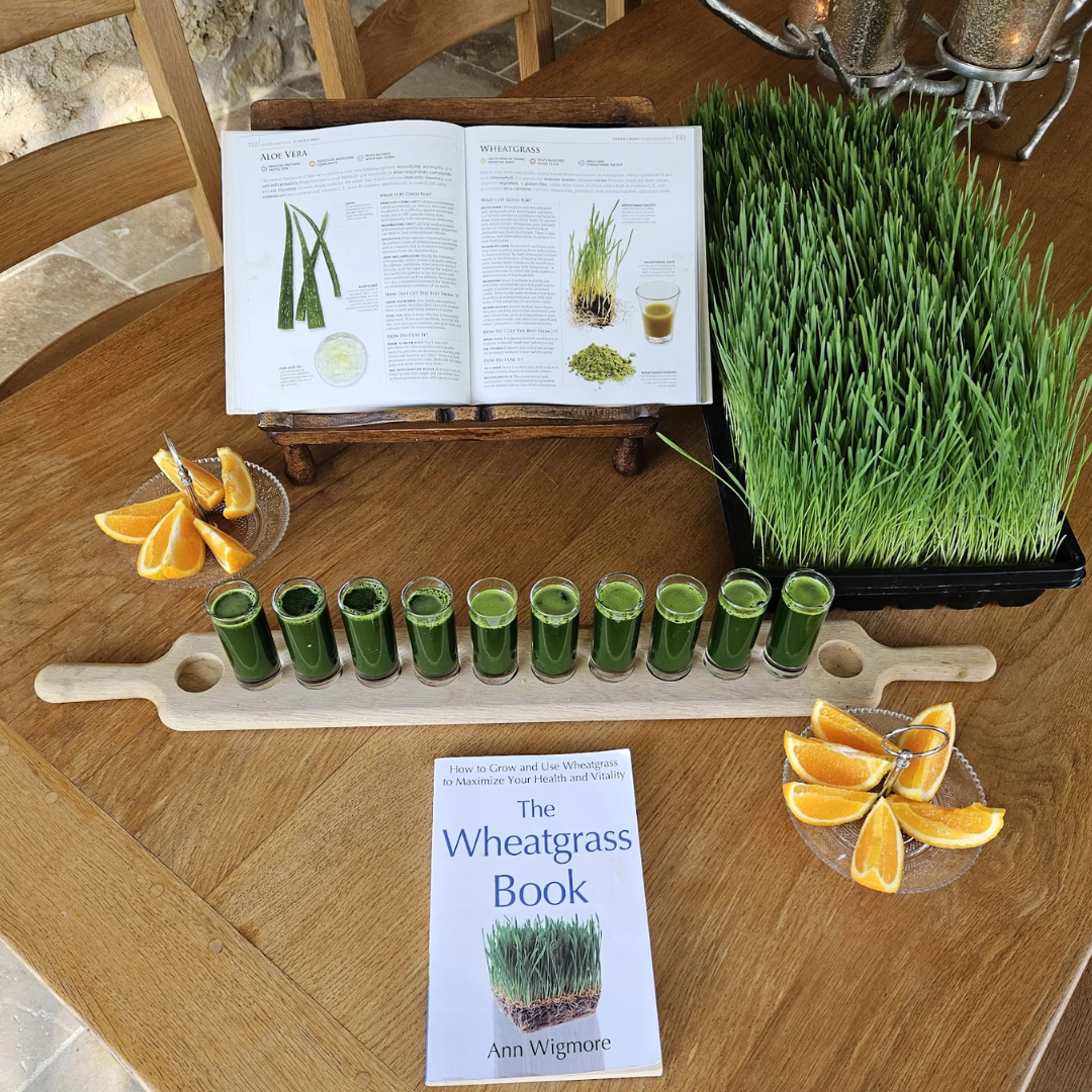 Organic Juice Detox & Yoga-Retreat in Wales - 3