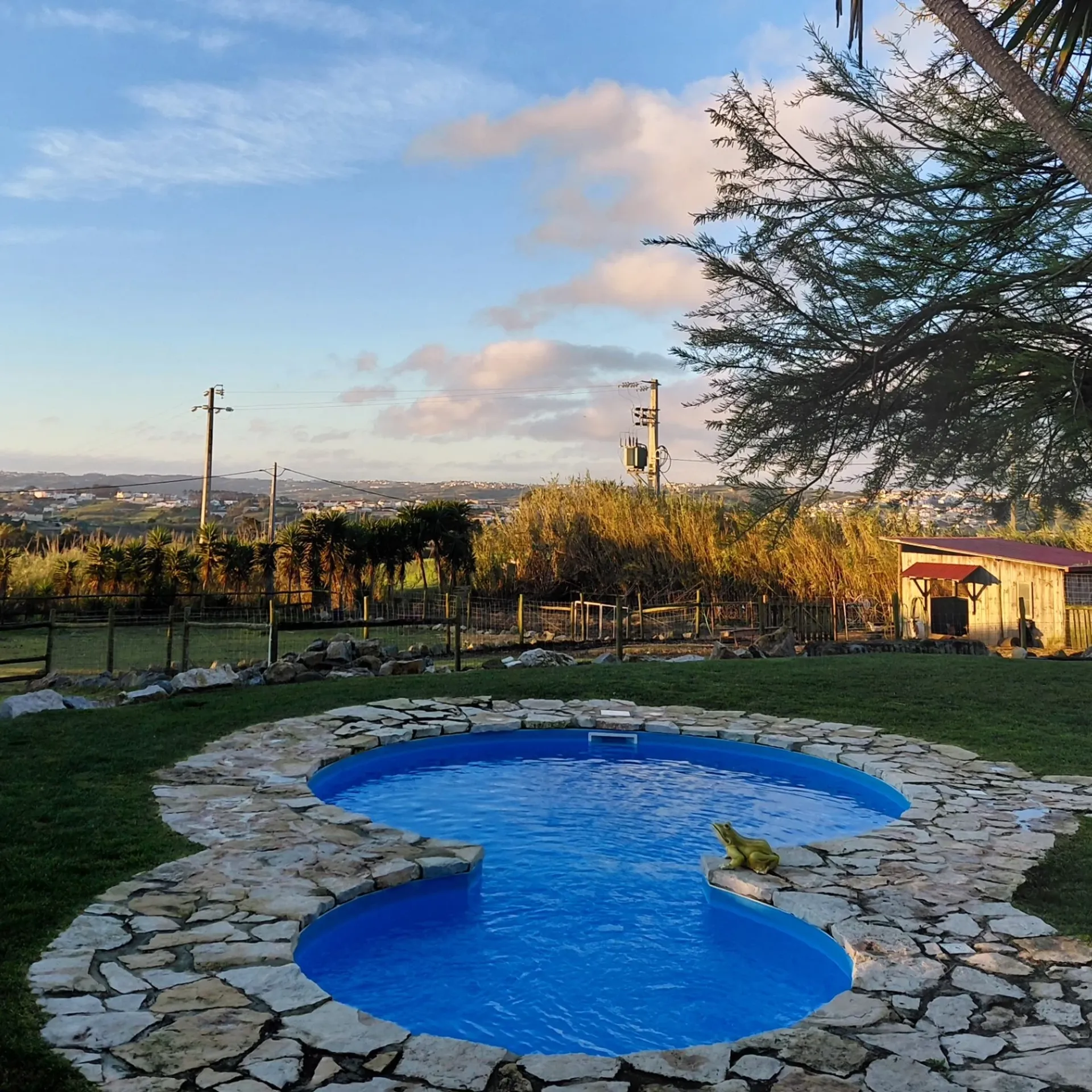 Surf & Yoga Urlaub für Klein und Groß: Wohlfühlen in Portugal - 4