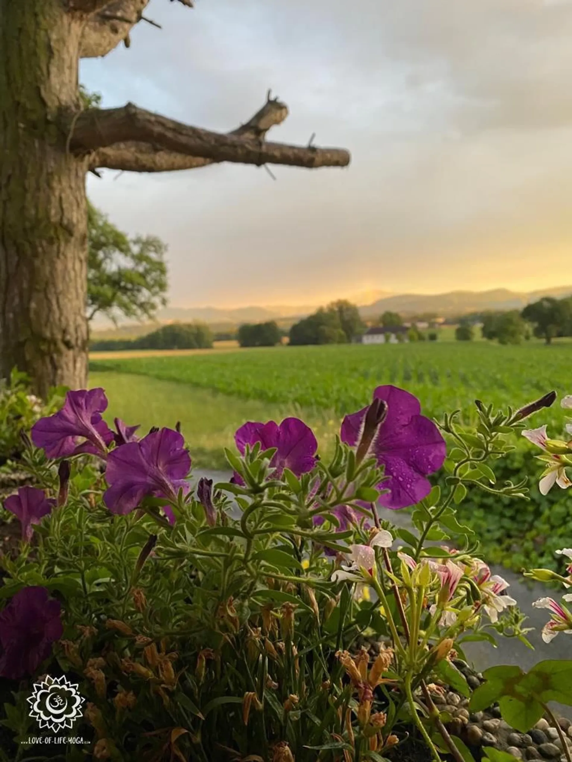 Begegne deinem wahren Selbst: Stilles Yoga Retreat im Ashram - 5