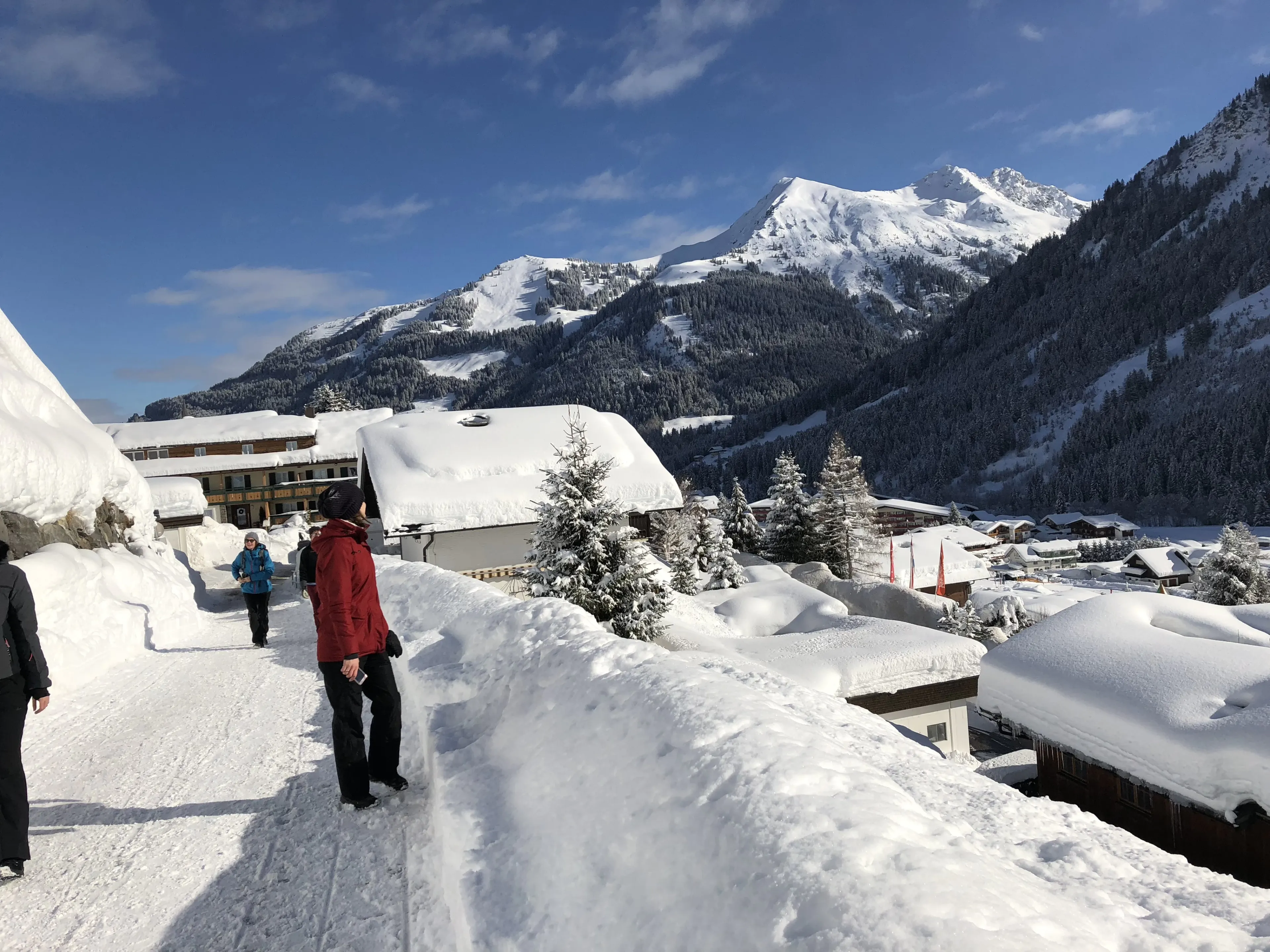 Mindful Mountain: Meditation und Winterwandern im Kleinwalsertal - 5