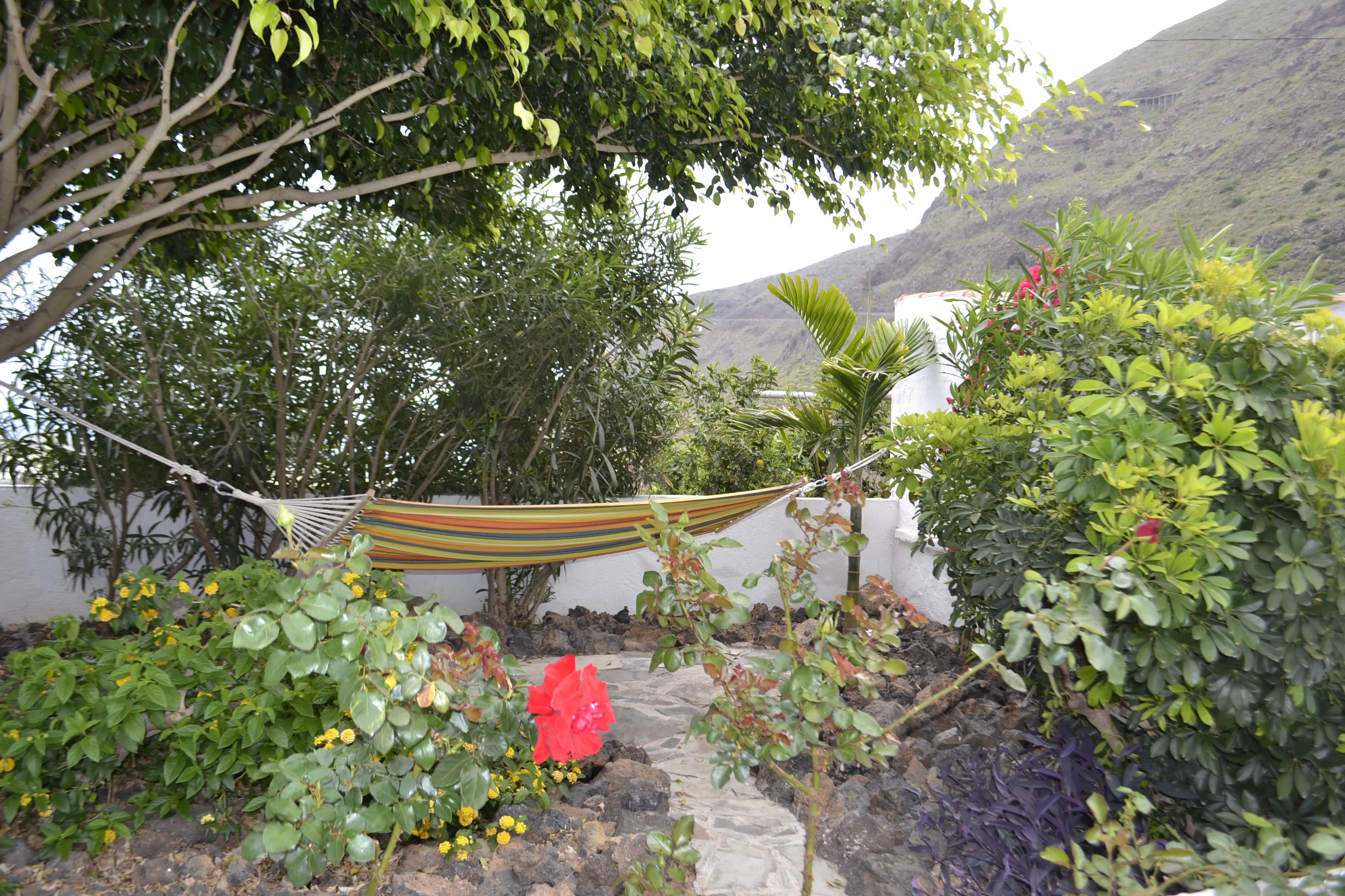 Yoga-Retreat und Tantra-Massagekurs für Paare auf Teneriffa - 5