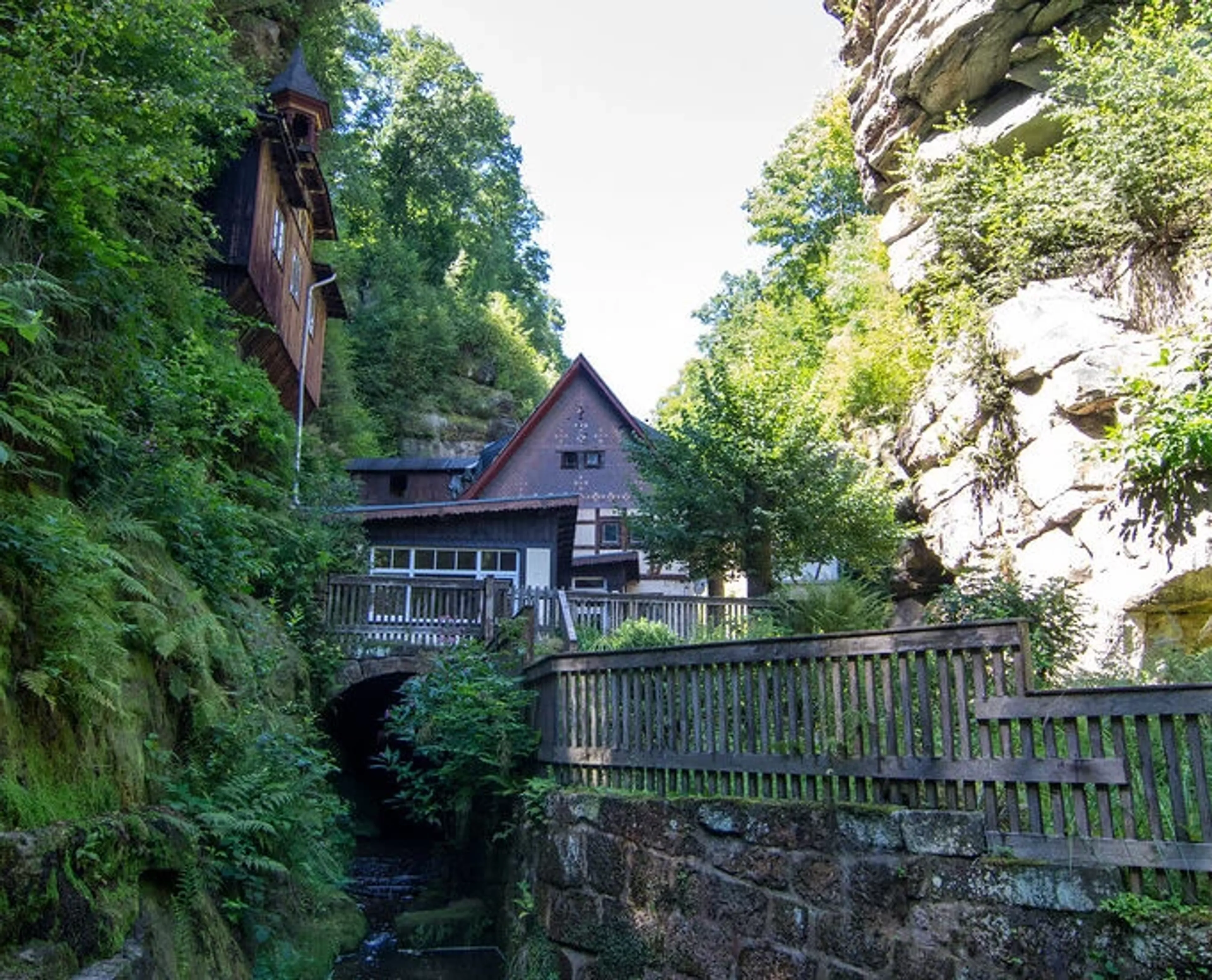 Yoga, Wandern und Rohkost-Detox in der Sächsischen Schweiz - 4