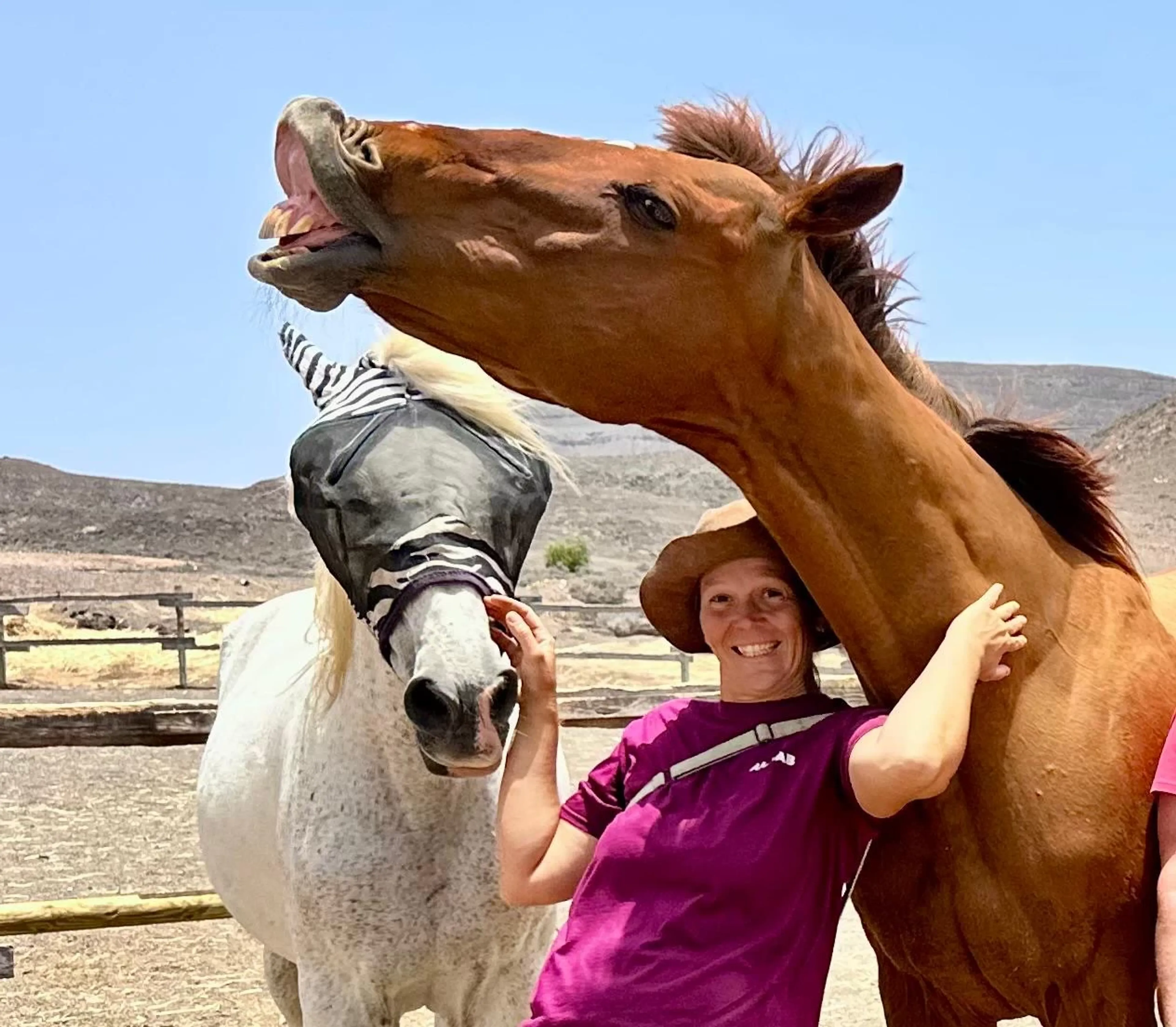 Yoga & Erden mit Pferden - 5