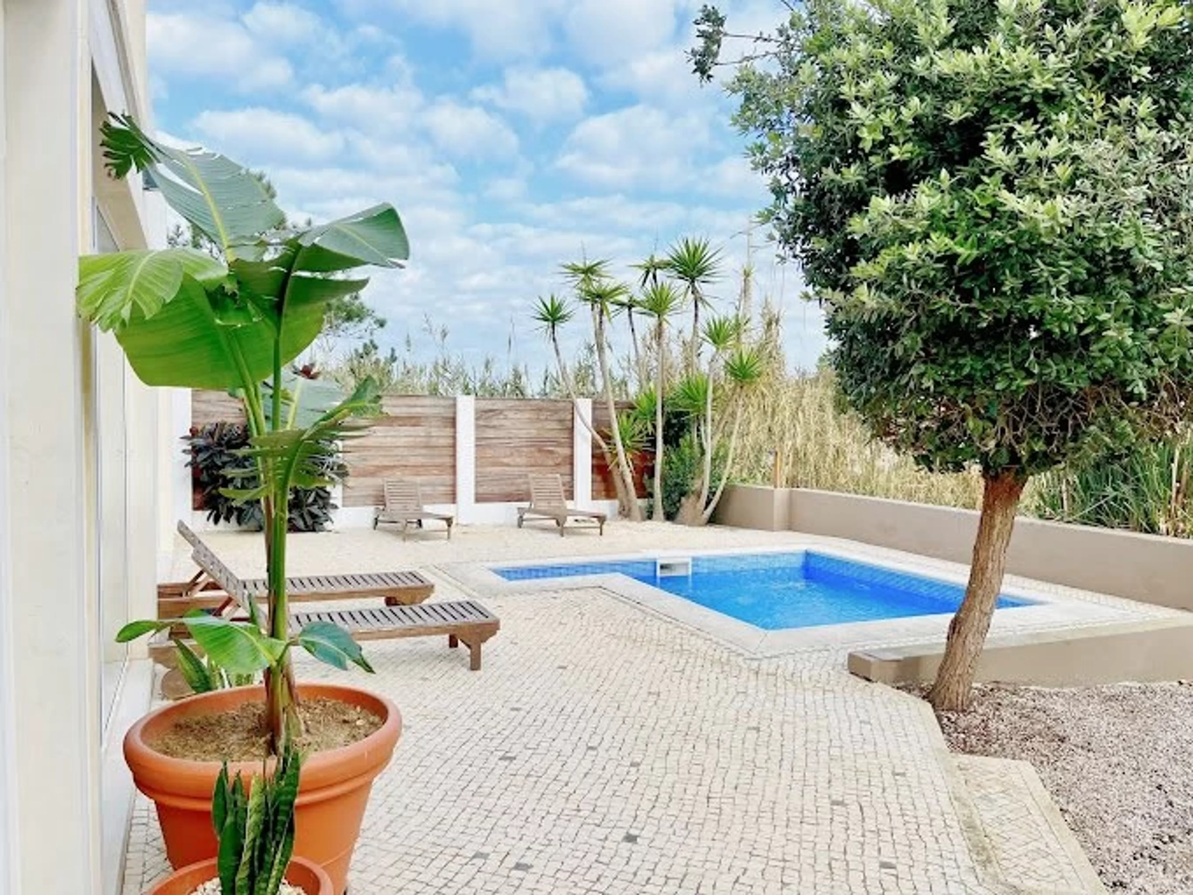 Yoga, Sound & Ayurveda Retreat nahe Lissabon - 5