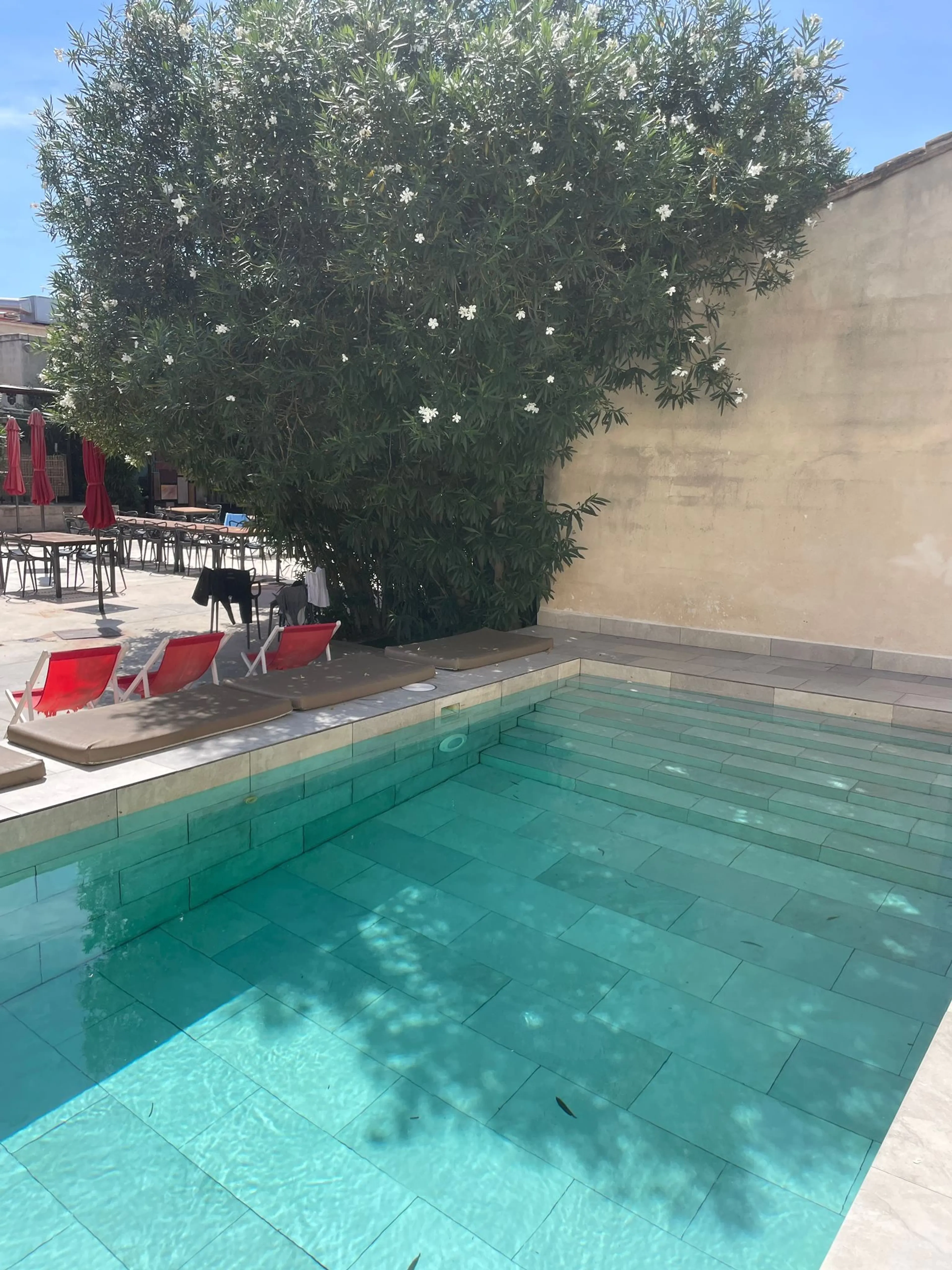 Yoga, Entspannung und mediterrane Lebensfreude nahe Valencia - 4