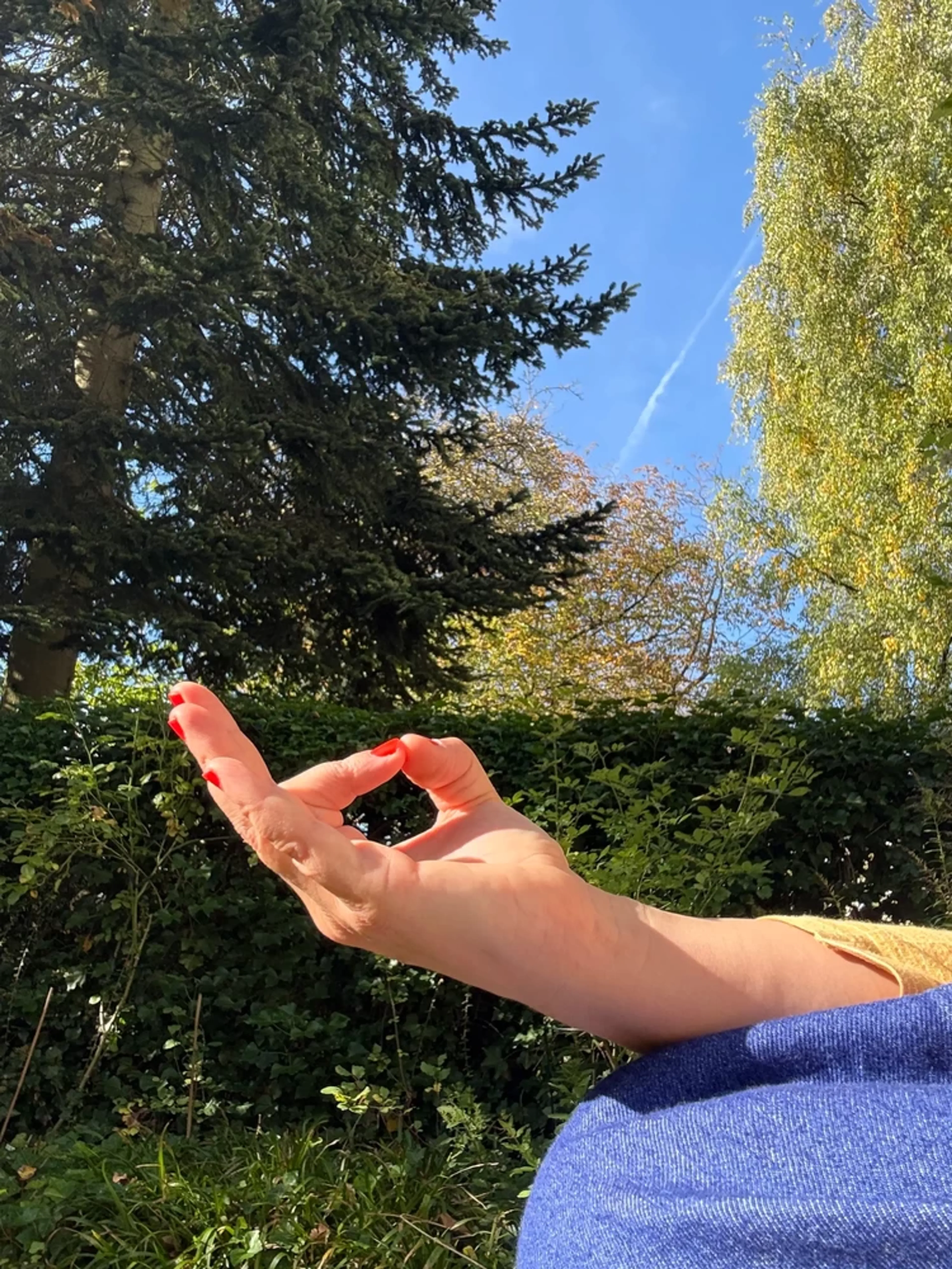 ROOT & RE:CONNECT - Eine lichtvolle Zeit der Rückverbindung mit dir - 4