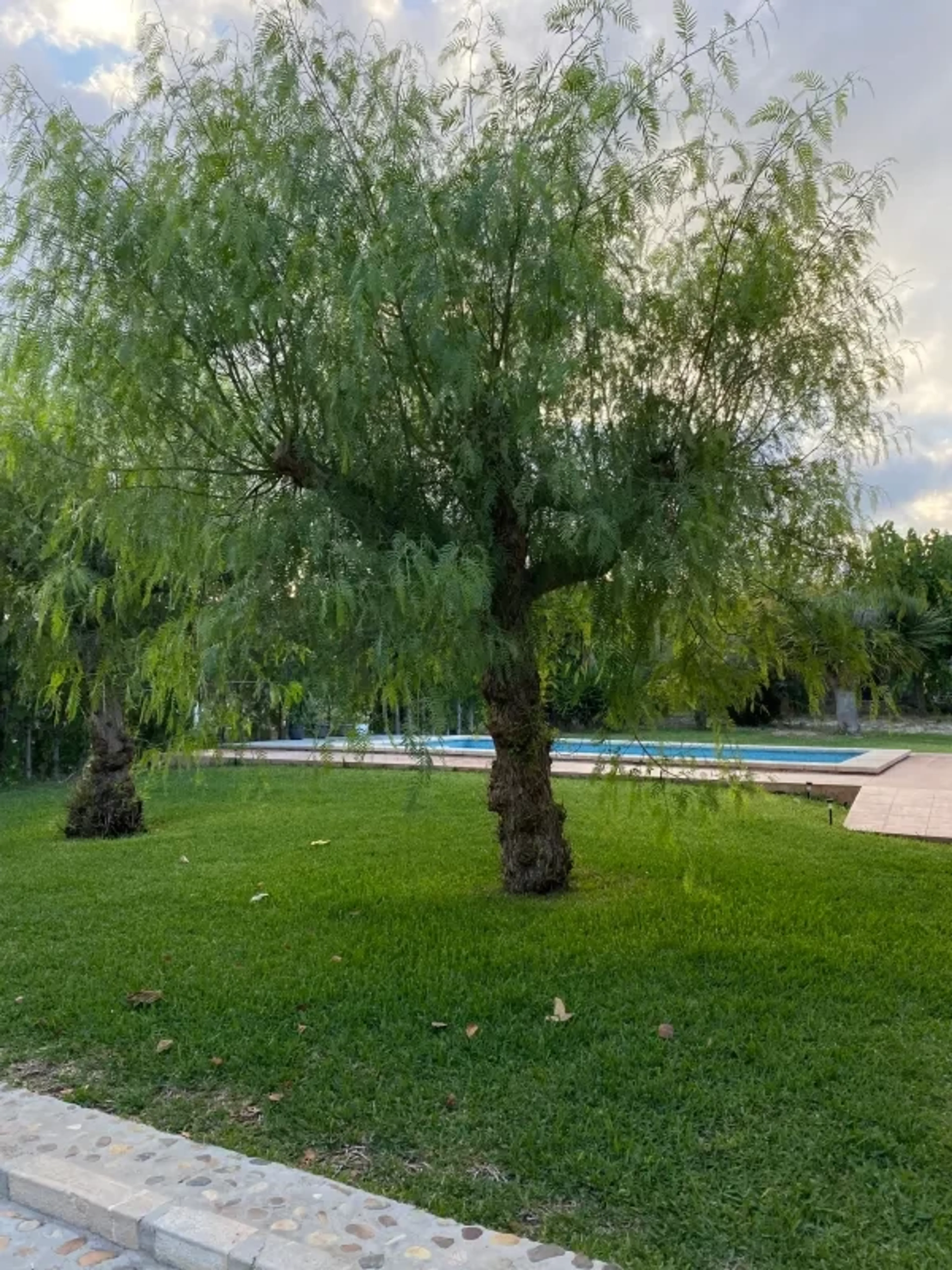 Privates transformatives Healing Yoga Retreat auf Mallorca - 4