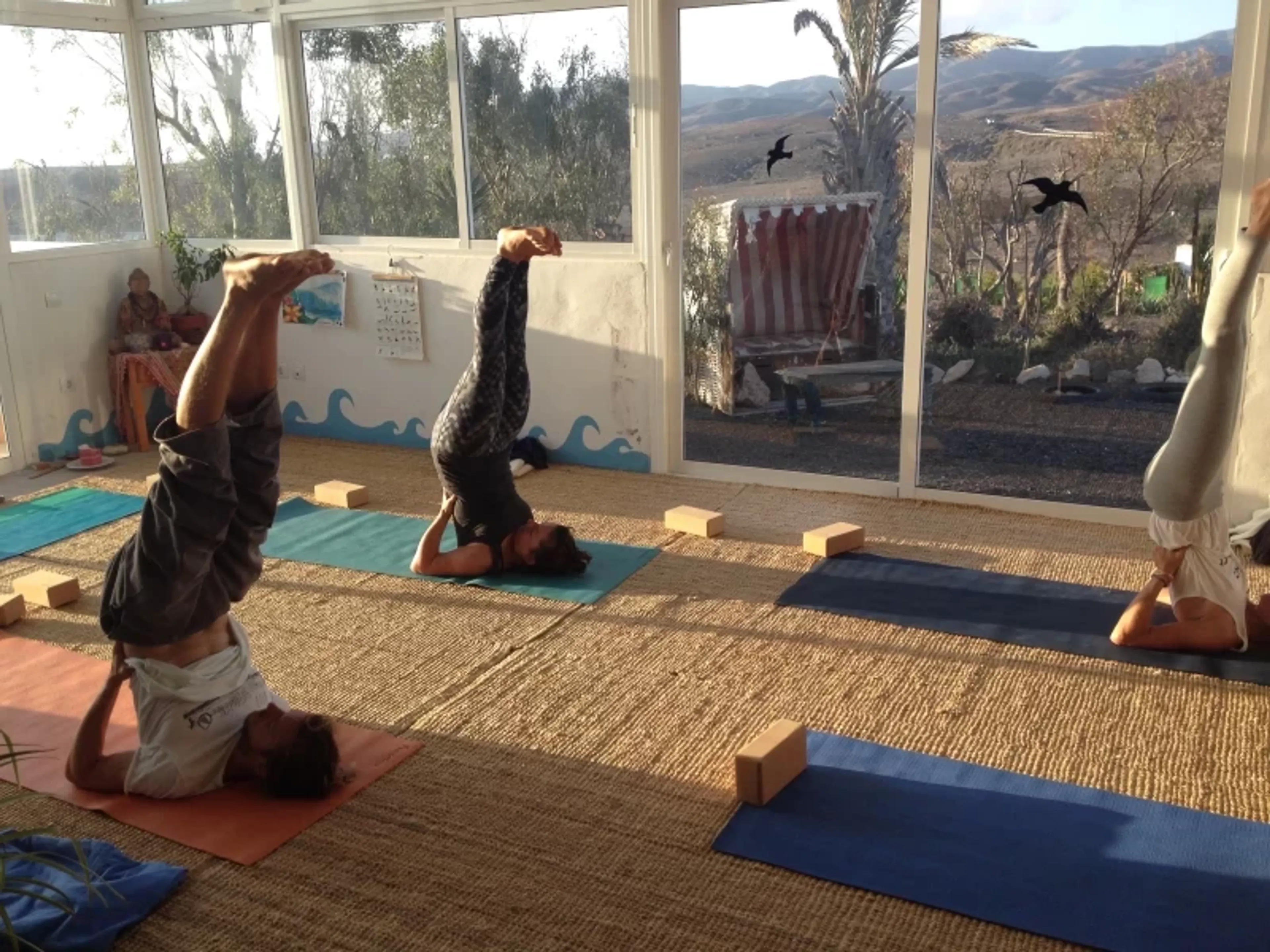 Regeneration unter der Sonne: Yoga & Physiotherapie am Meer - 5