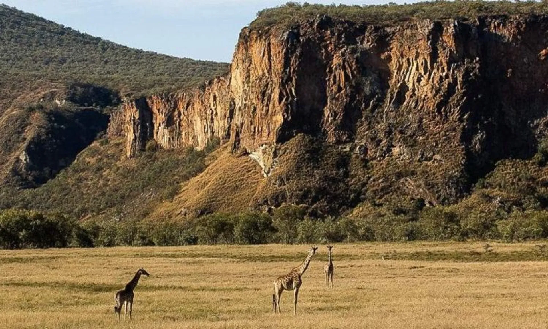 Aktive Kenia Safari: Erkunde die endlose Savanne - 3