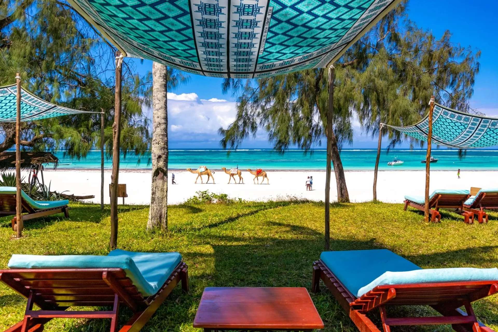 Yoga meets Safari: Dein Yoga-, Safari- und Strandurlaub in Kenia