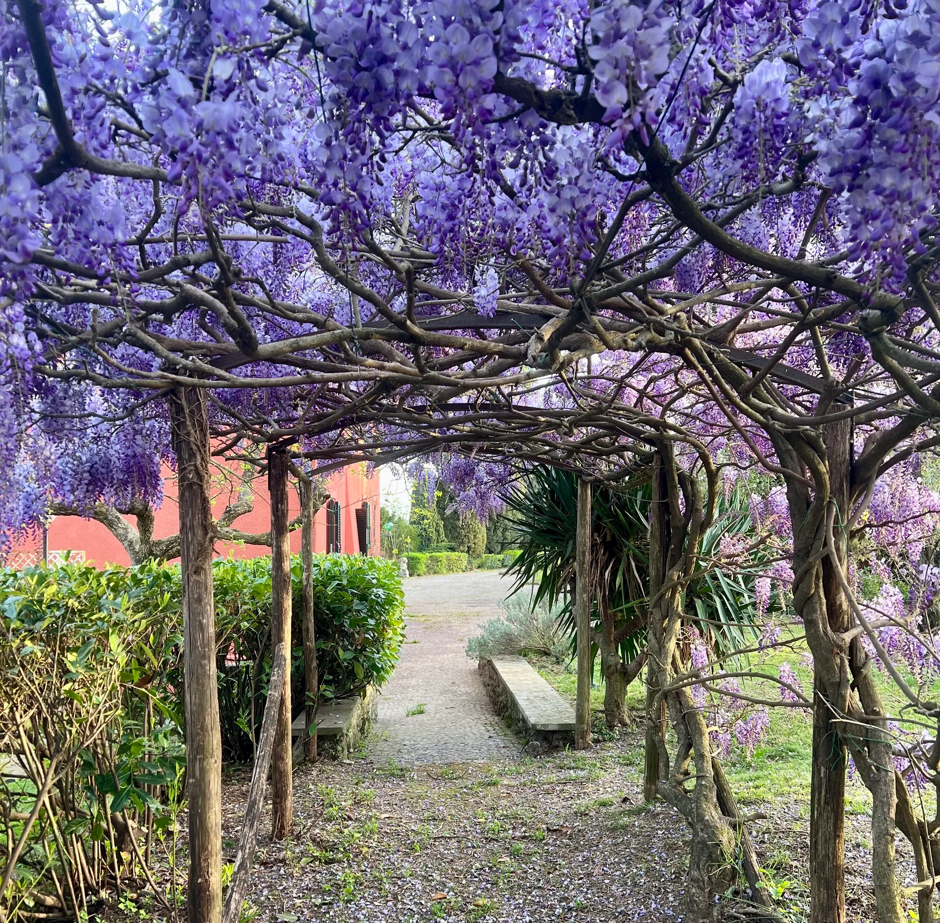 *Eat - meditate - love* Retreat bei Rom: Genuss, Yoga und Selbstliebe