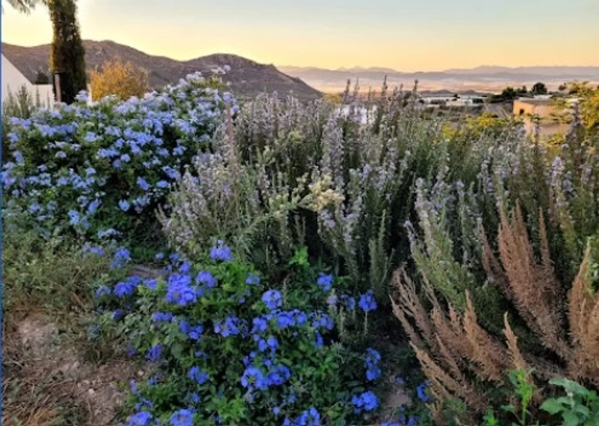 Im Rhythmus der Stille: Meditatives Leben in der Natur Andalusiens - 3