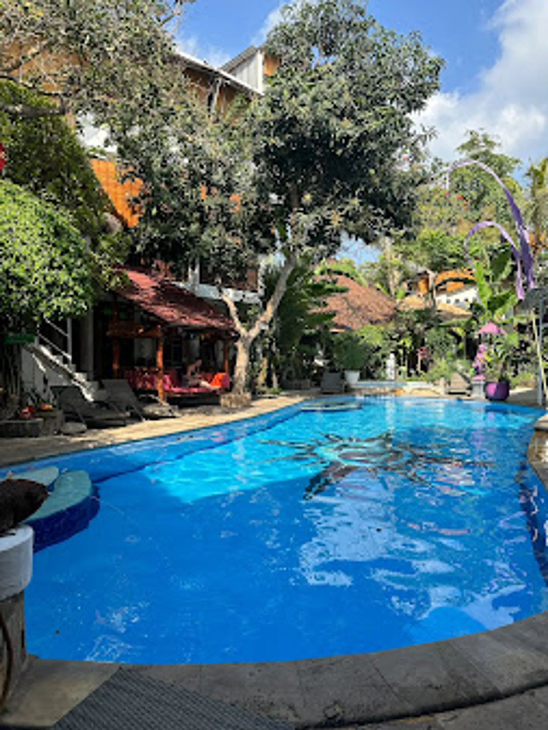 200 Stunden Multi-Style Yoga Teacher Training auf Bali - 2