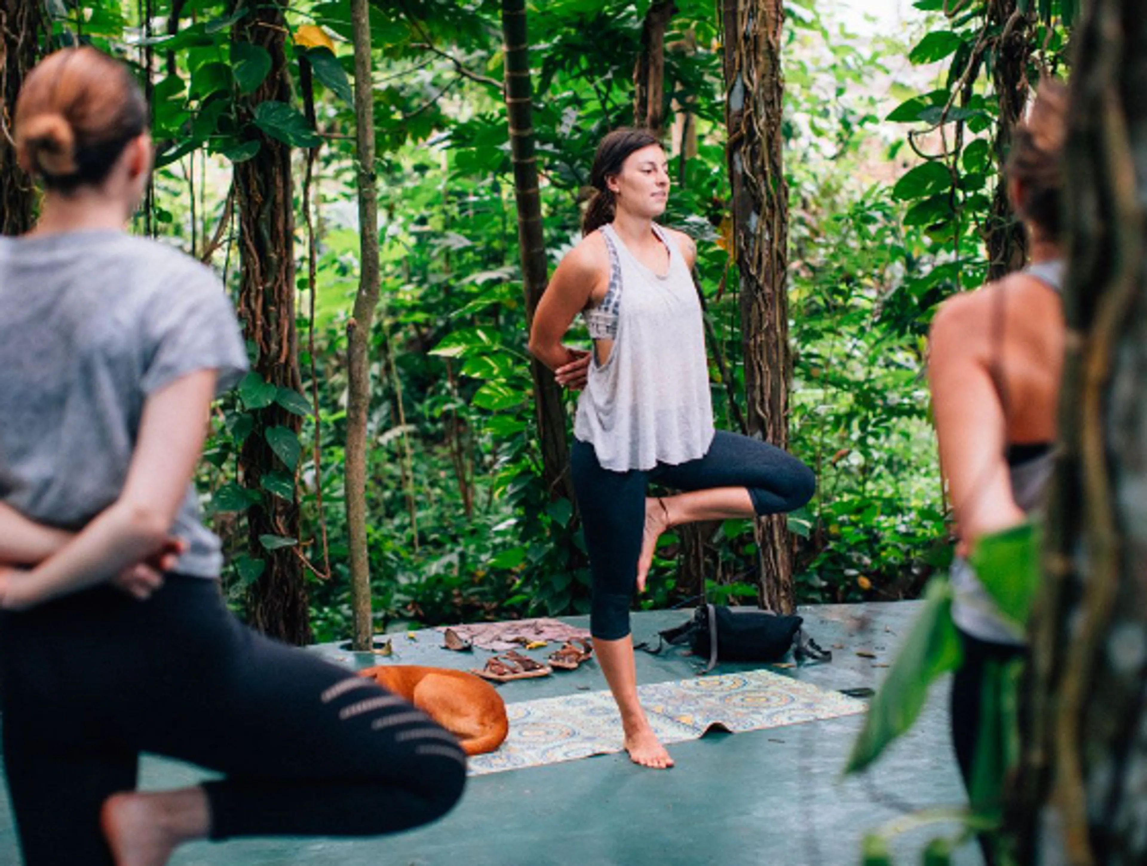 Keep the balance: Surfen und Yoga im tropischen Paradies Sri Lanka - 5