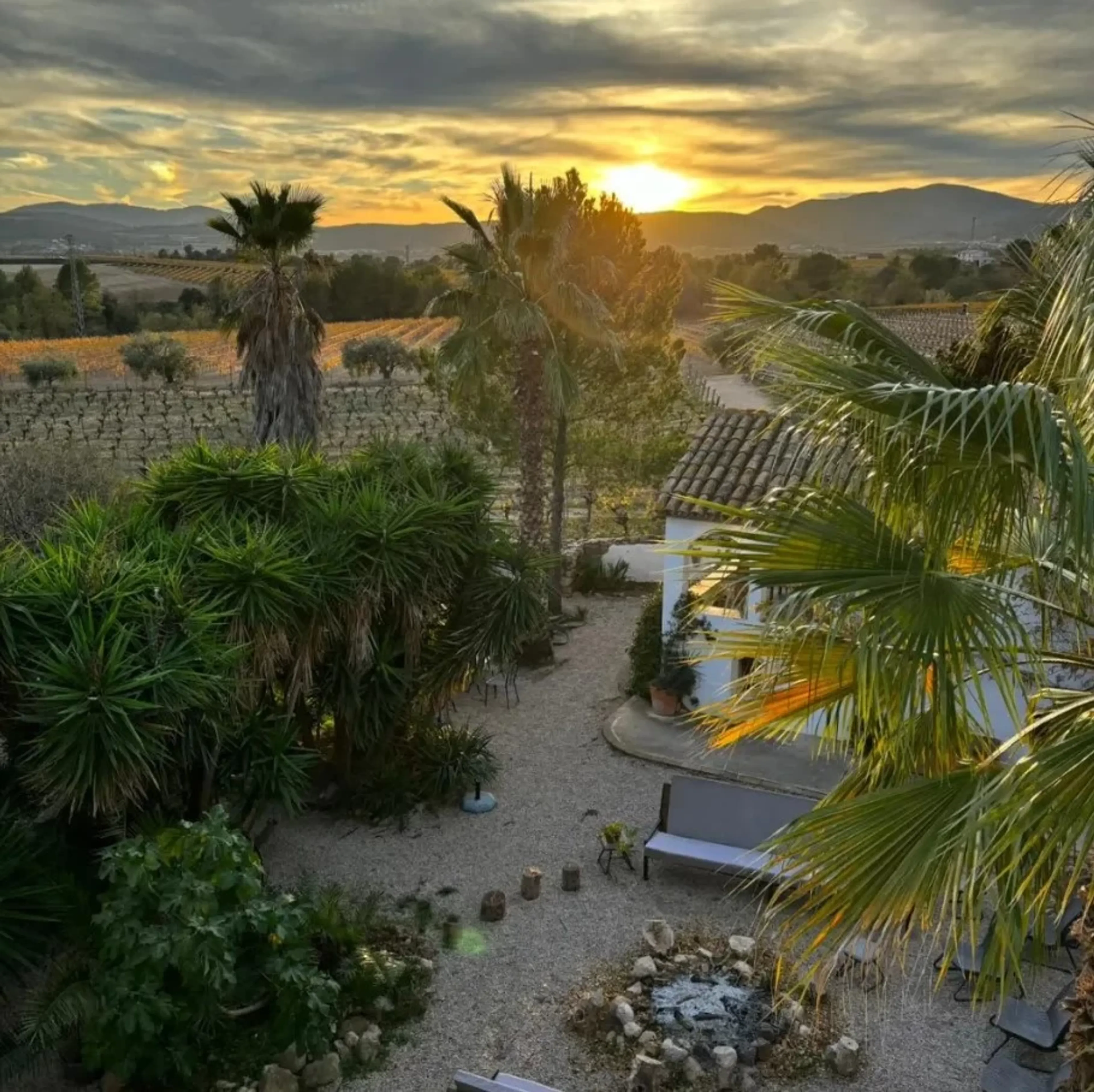 Yoga & Heilung mit Pferden: Dein Weg zu Ruhe und innerer Balance - 5