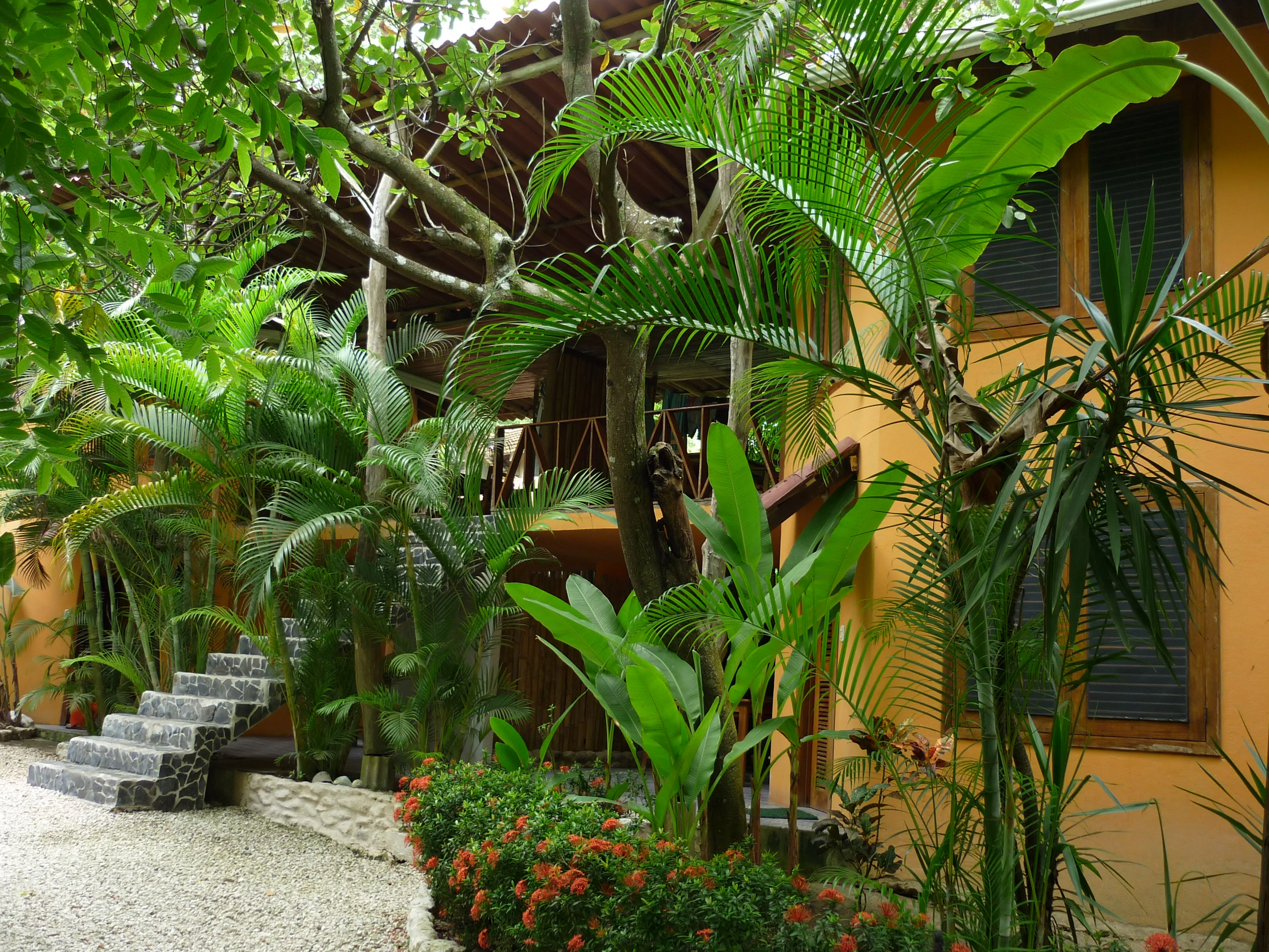 Lerne Surfen im tropischen Paradies Costa Rica - 2