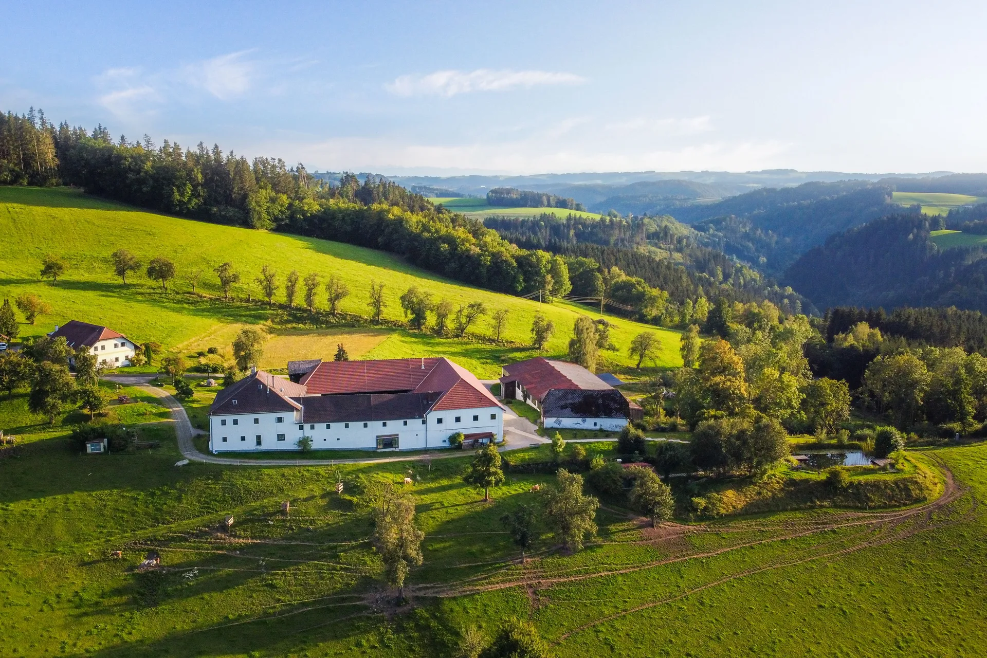Friedliche Yoga-Auszeit inmitten Österreichs Wiesen & Wäldern - 3