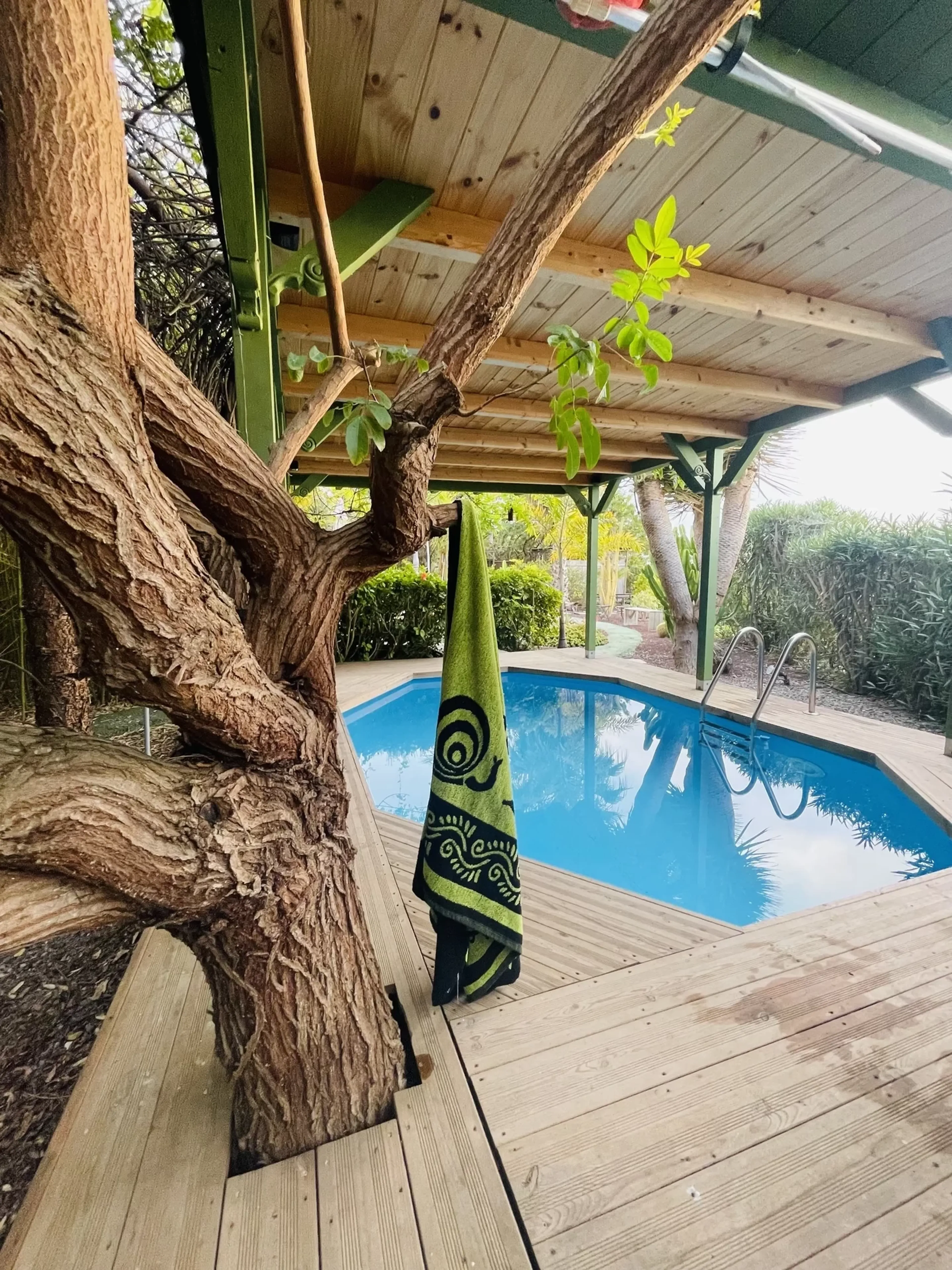 Authentisches Ayurveda & Yoga auf Teneriffa: Persönlich & individuell - 4