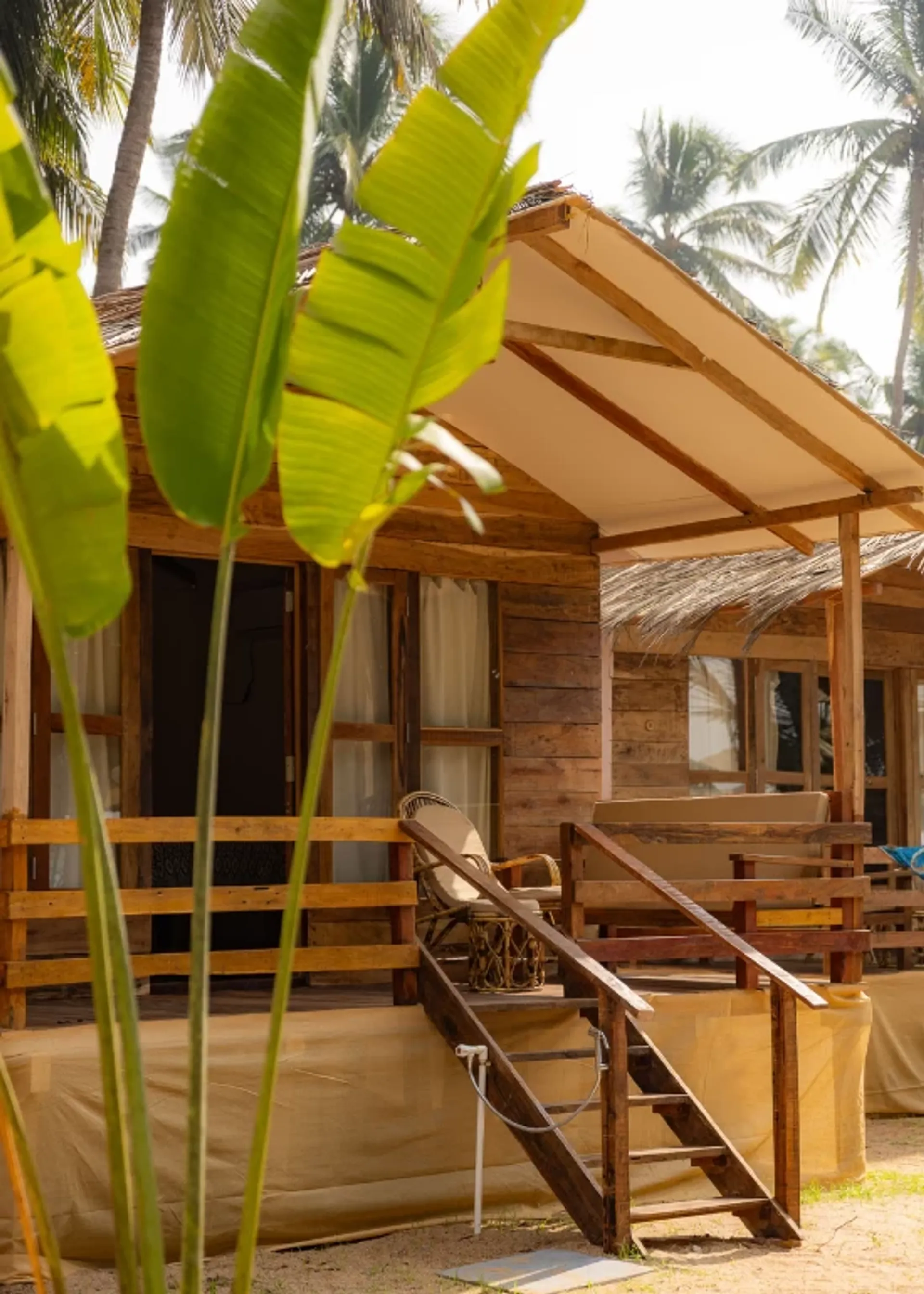 Zwischen Strand und Dschungel: Deine Yoga-Praxis in Goa - 4