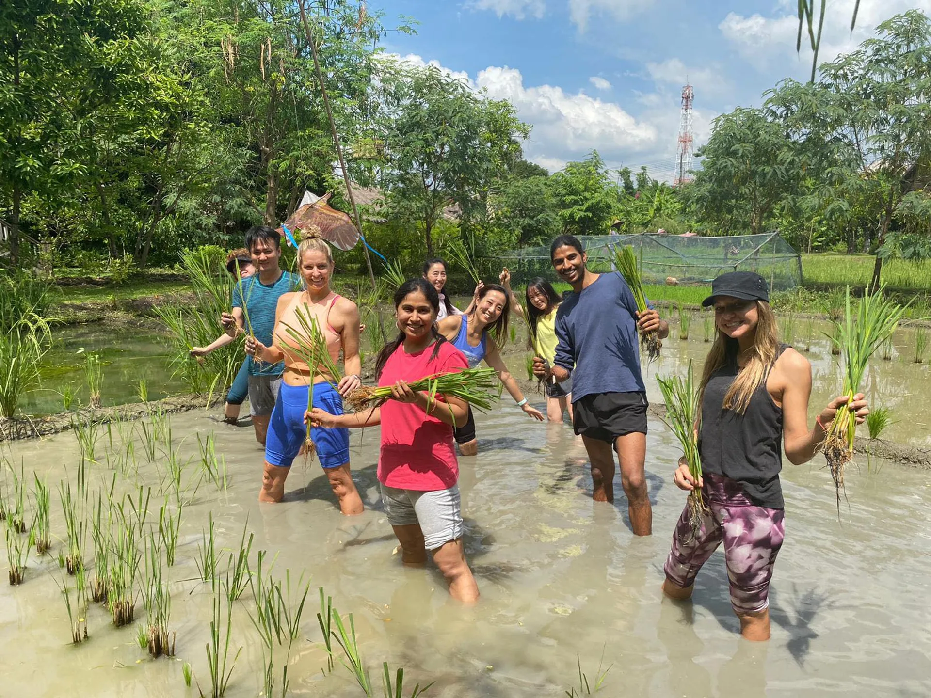 Yoga-Retreat in Thailands pulsierender Hauptstadt Bangkok - 4