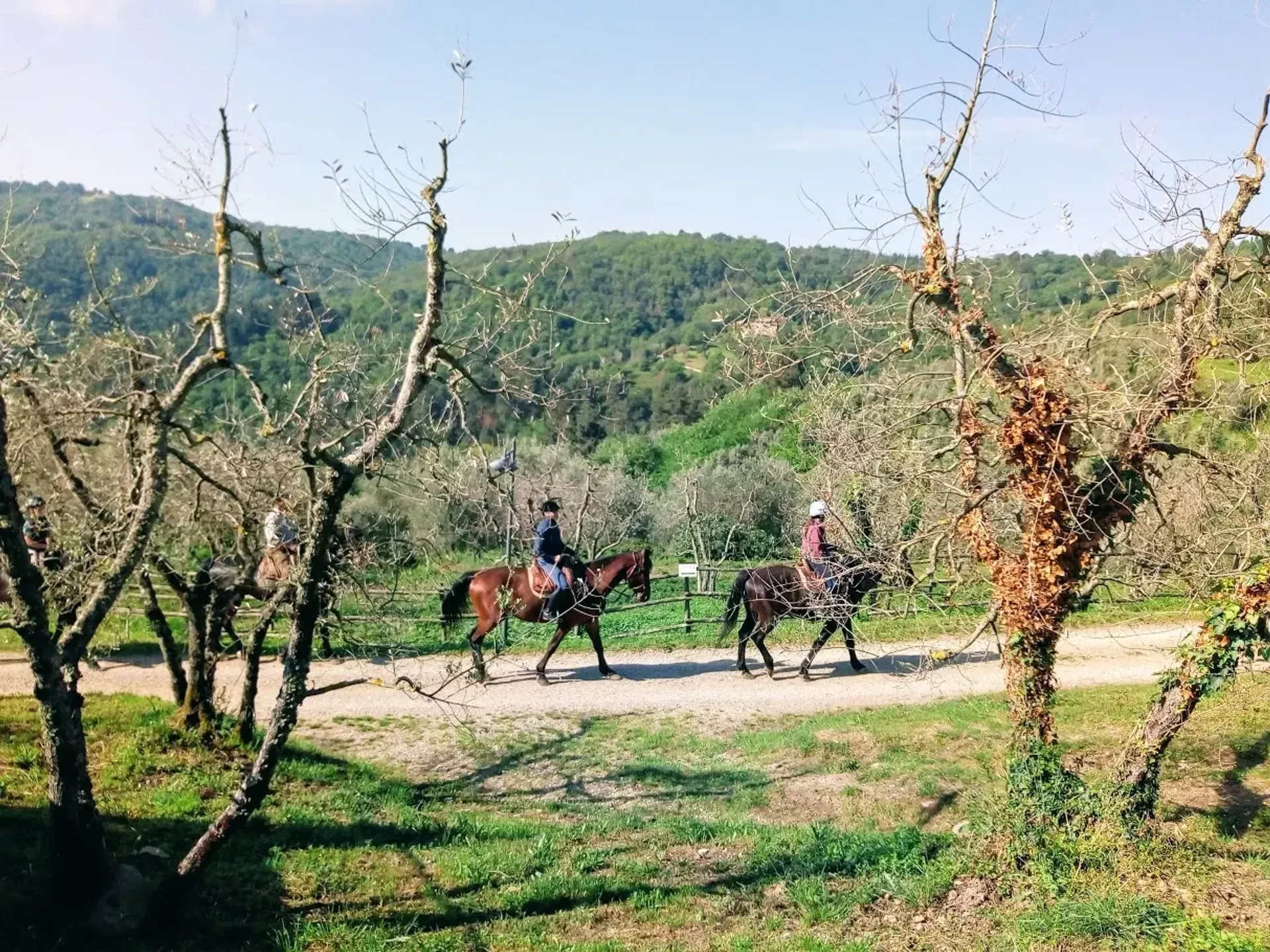 Reiten, Yoga und Fitness zwischen Olivenhainen und Weinbergen