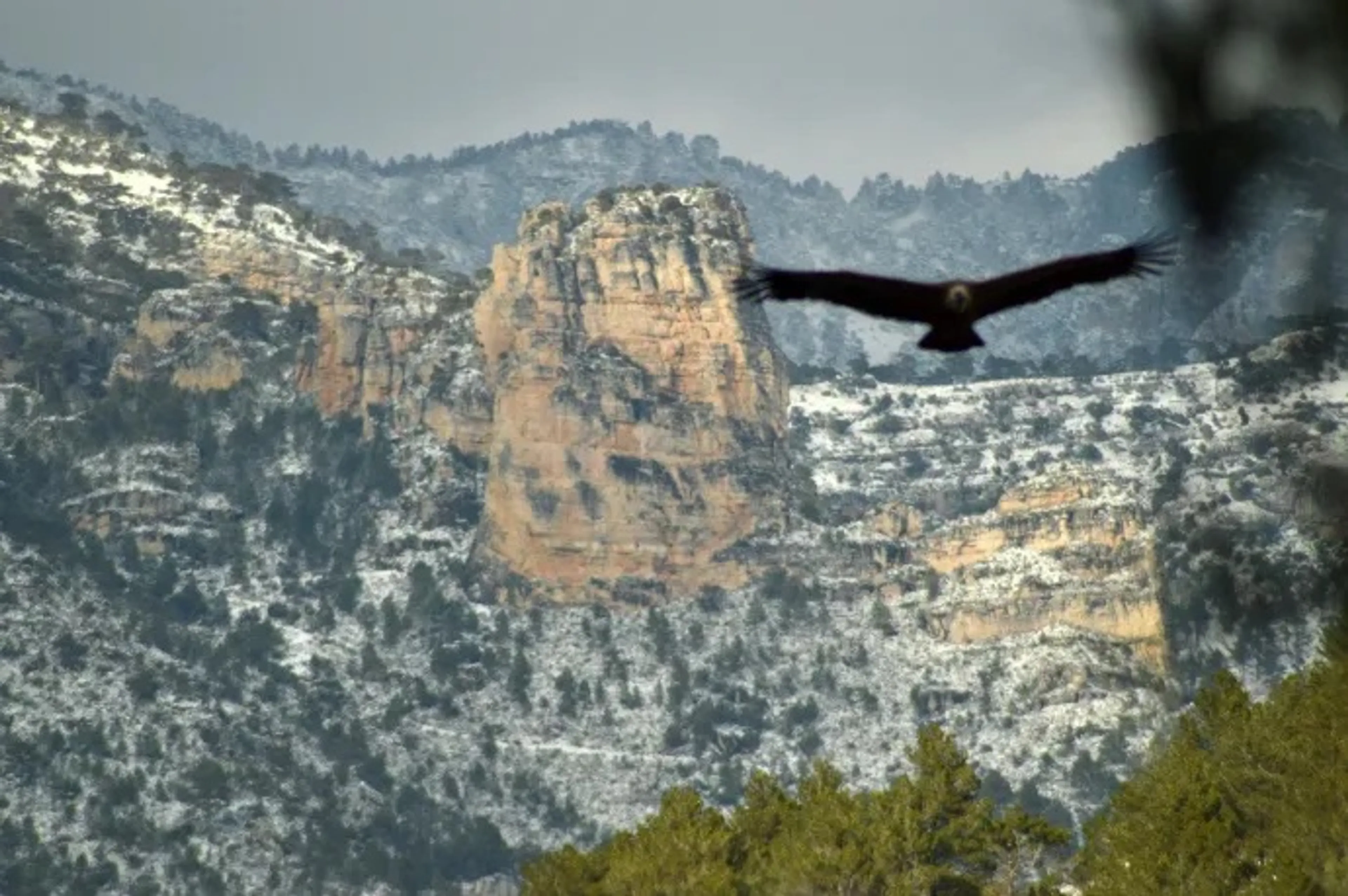 Trekkingtour durch Spaniens wildestes Bergmassiv - 4