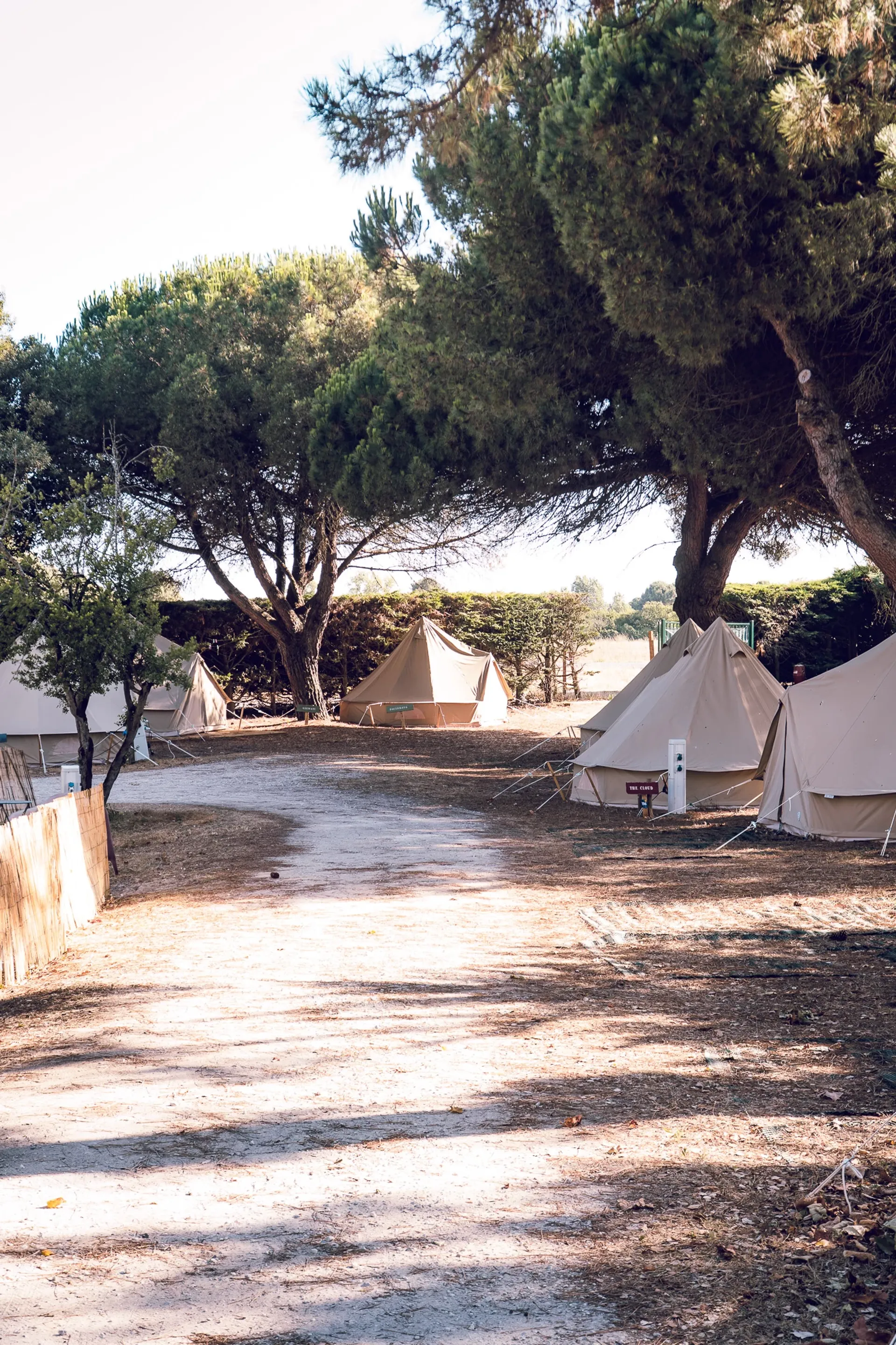 Surfcamp auf einer Insel an Frankreichs Atlantikküste - 3
