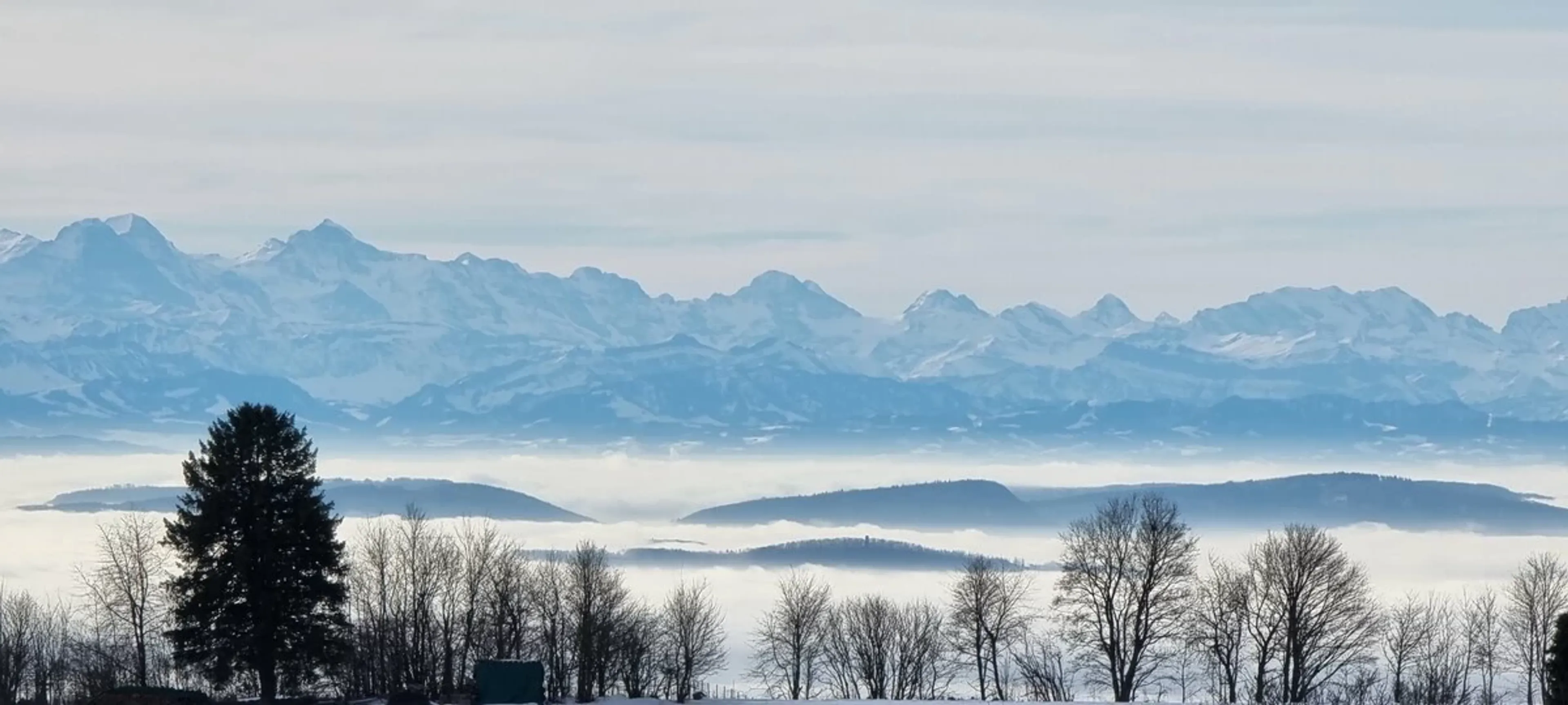 Dein Yoga Wochenende im Schwarzwald: Wellness-Retreat mit Alpenblick - 1