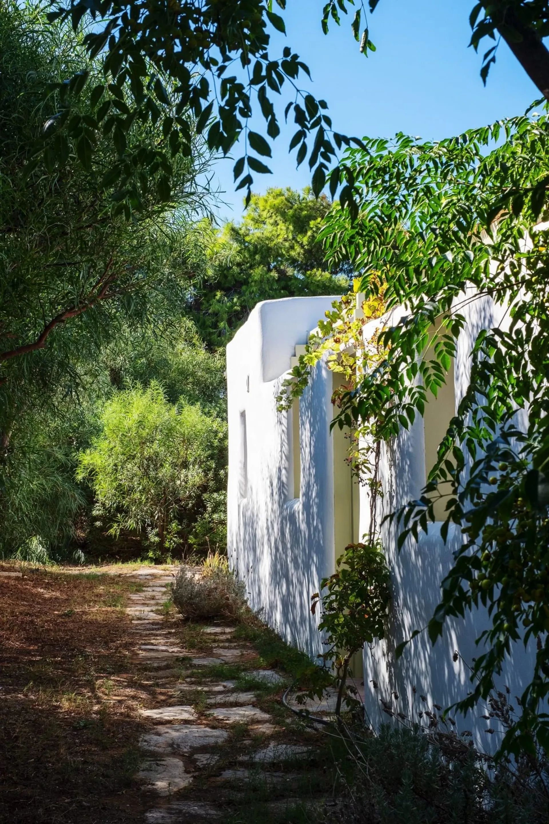 Yoga auf Paros: Dein flexibles Retreat im Rhythmus der Natur - 2