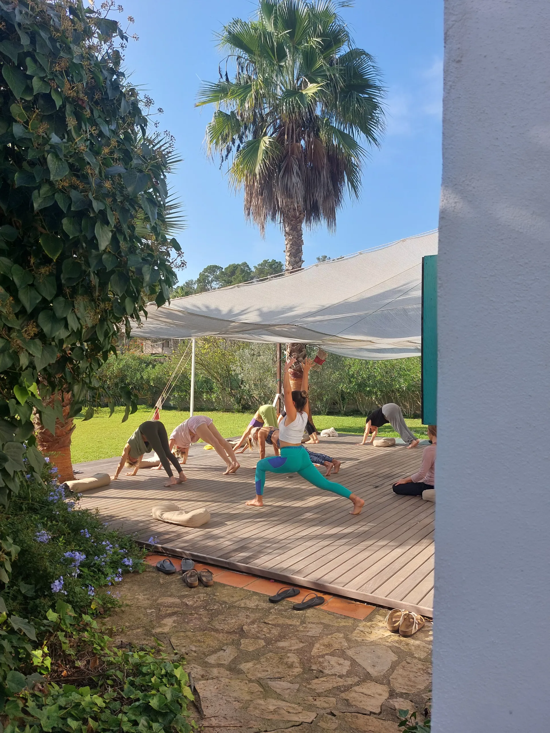 Detox-Yoga-Retreat: Erwecke deine Ausstrahlung und Vitalität - 3