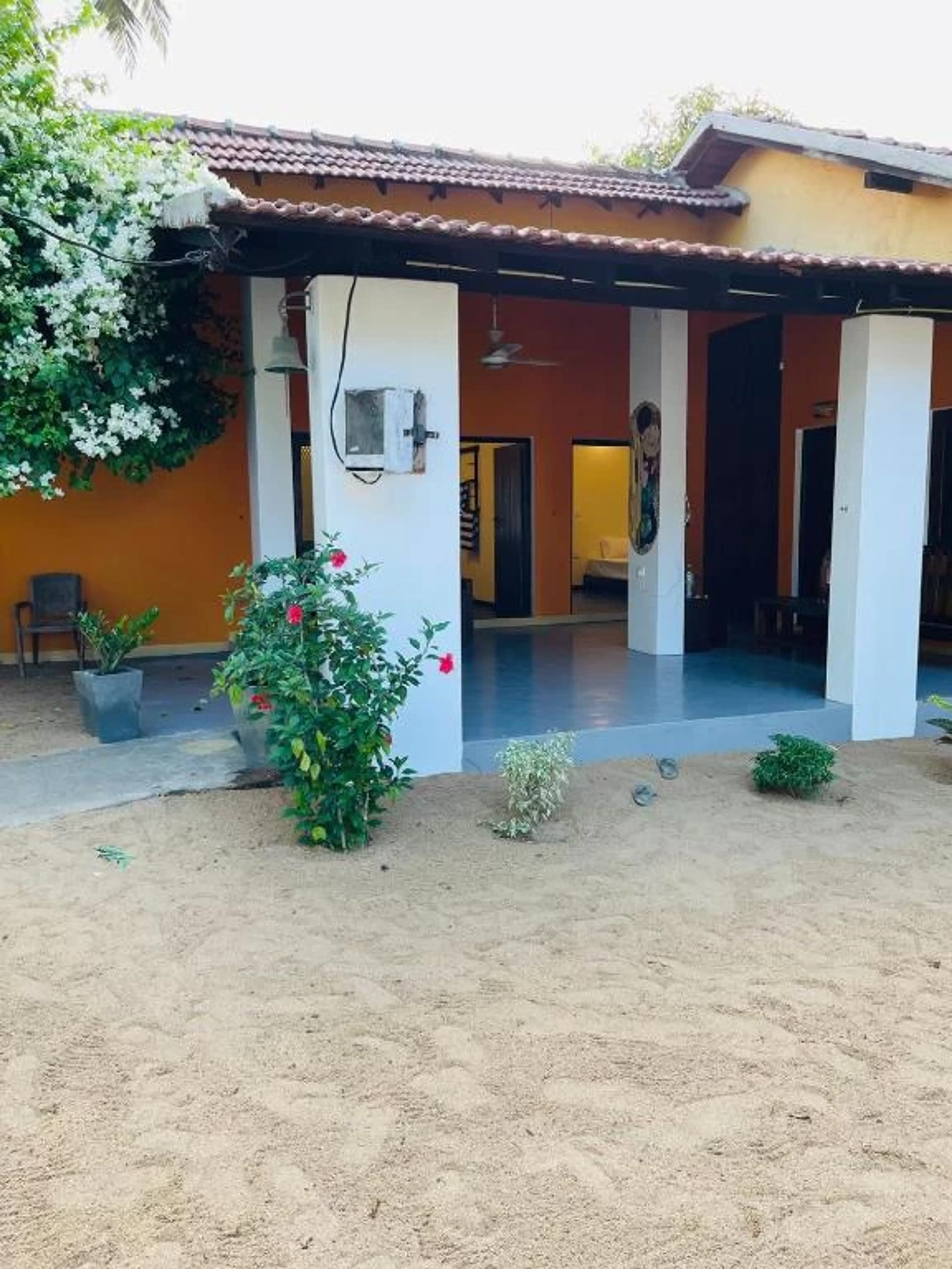 Surf & Relax im familiären Surfcamp in Arugam Bay - 4