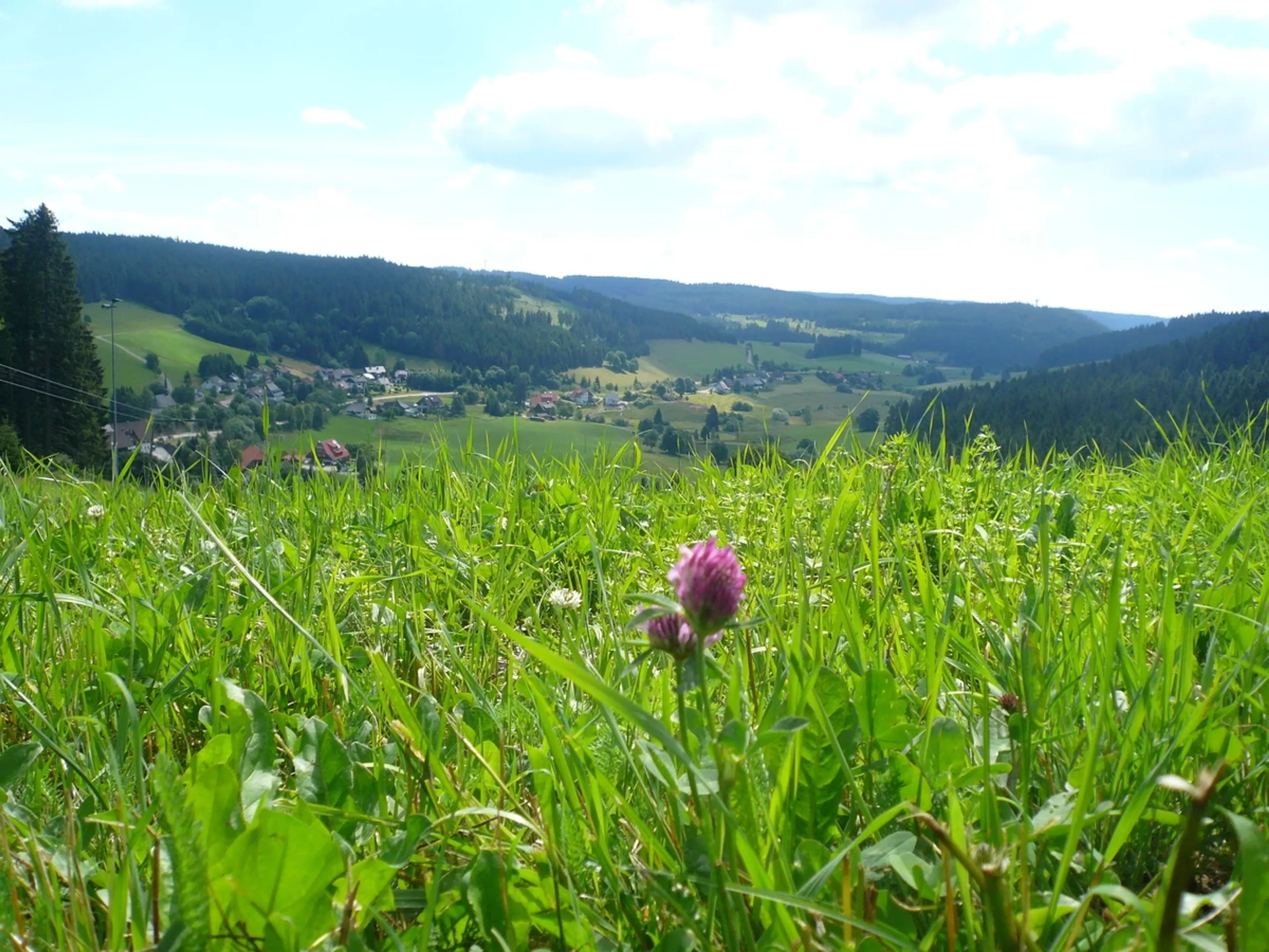 Dein Yoga Wochenende im Schwarzwald: Wellness-Retreat mit Alpenblick - 5