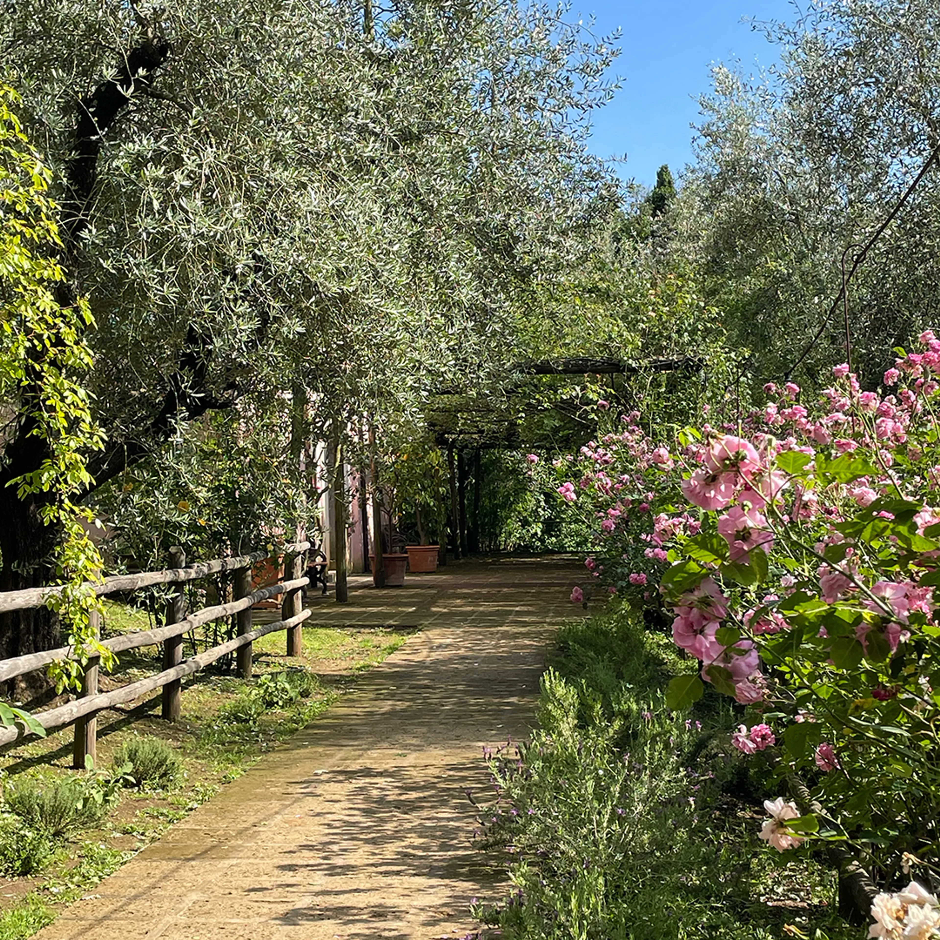 *Eat - meditate - love* Retreat bei Rom: Genuss, Yoga und Selbstliebe - 5